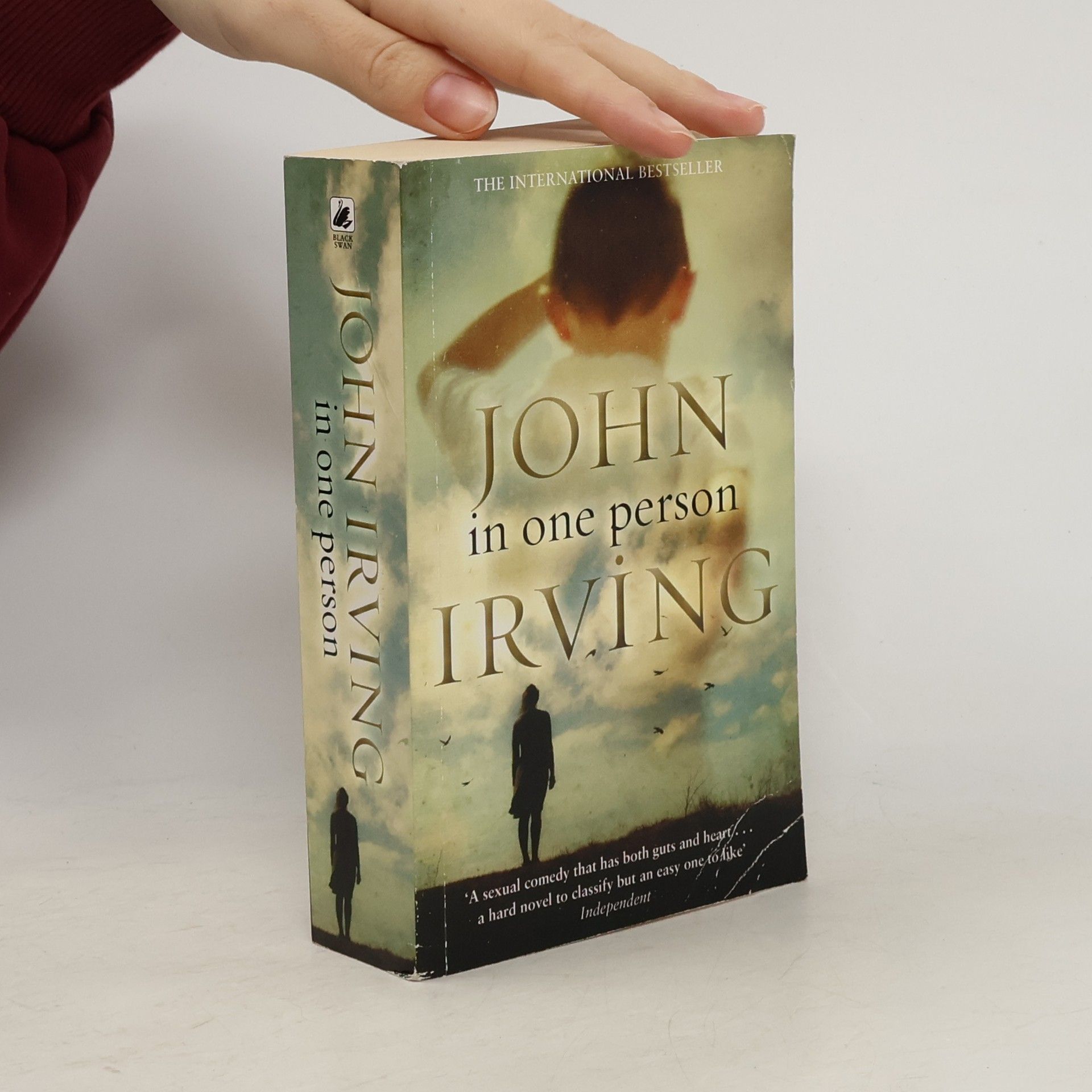 John Irving In One Person