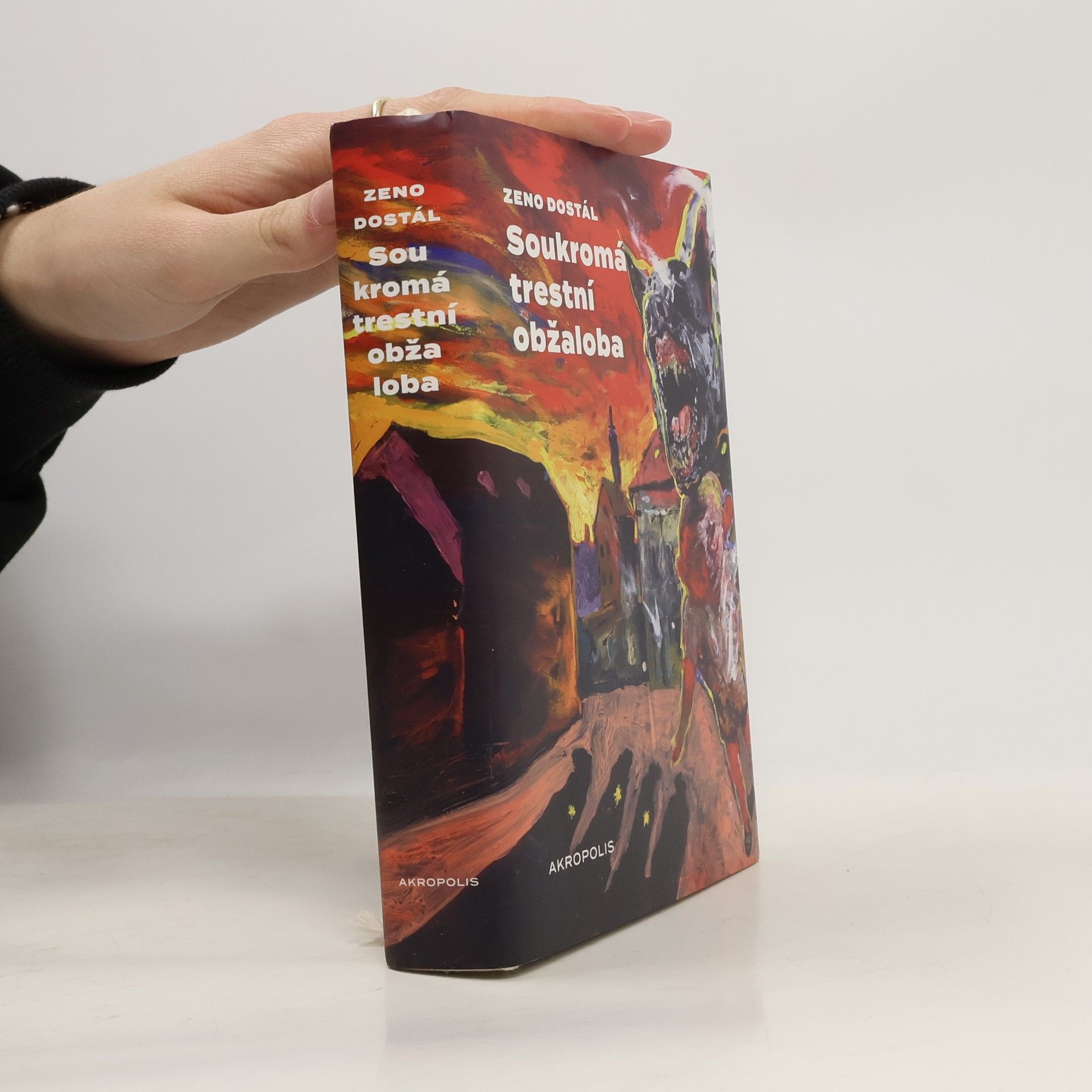 Boris Jirků Soukromá trestní obžaloba