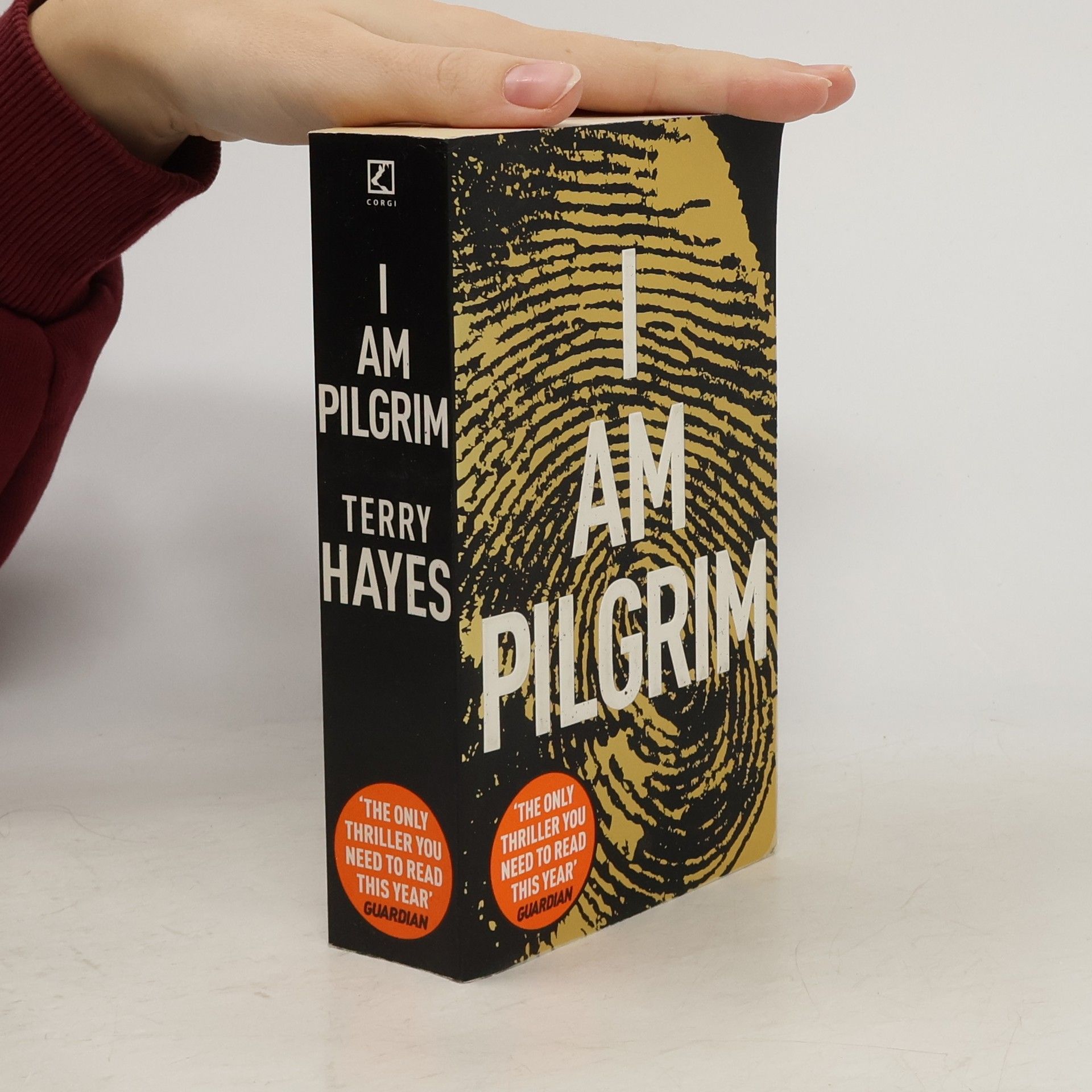 Terry Hayes I Am Pilgrim