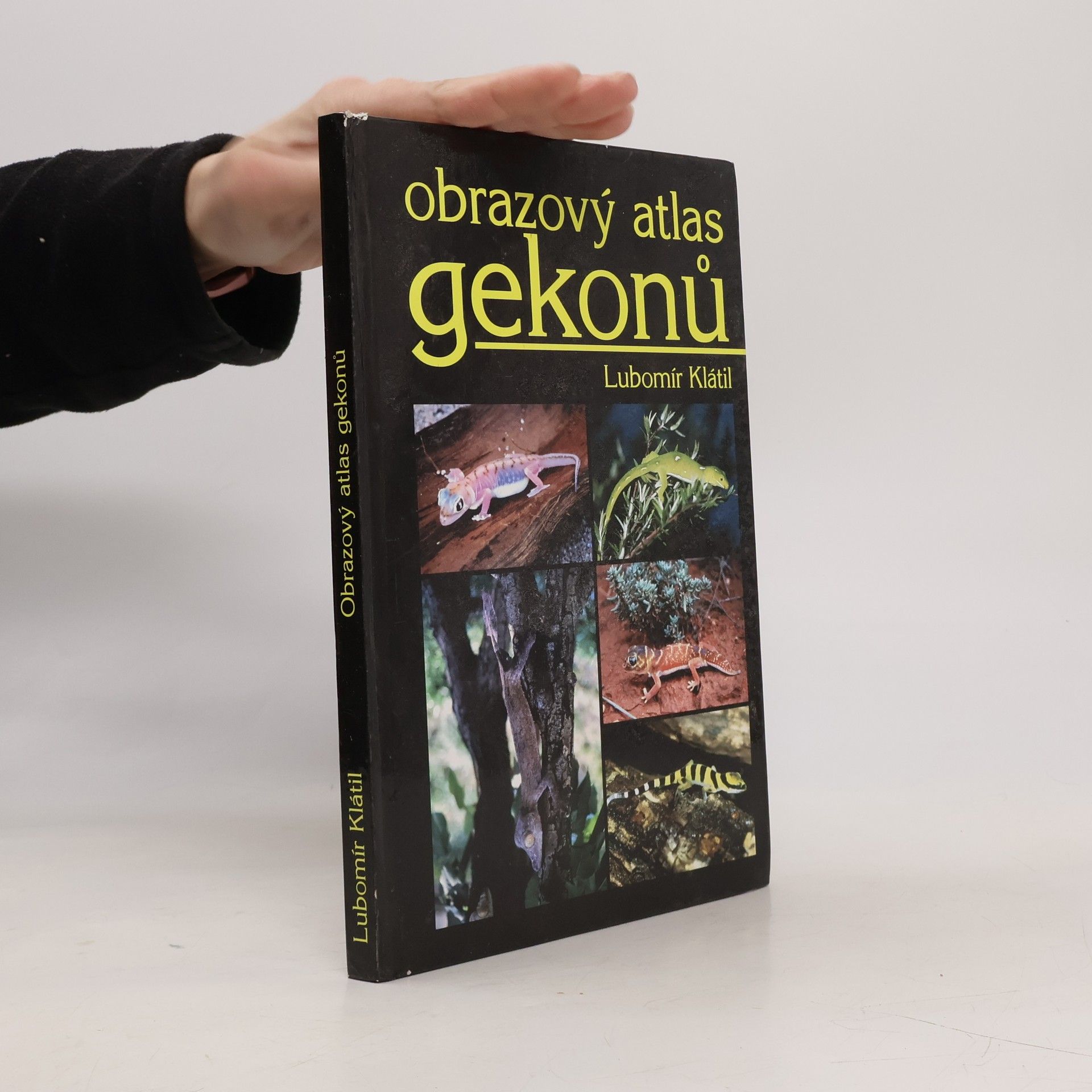 Obrazový atlas gekonů