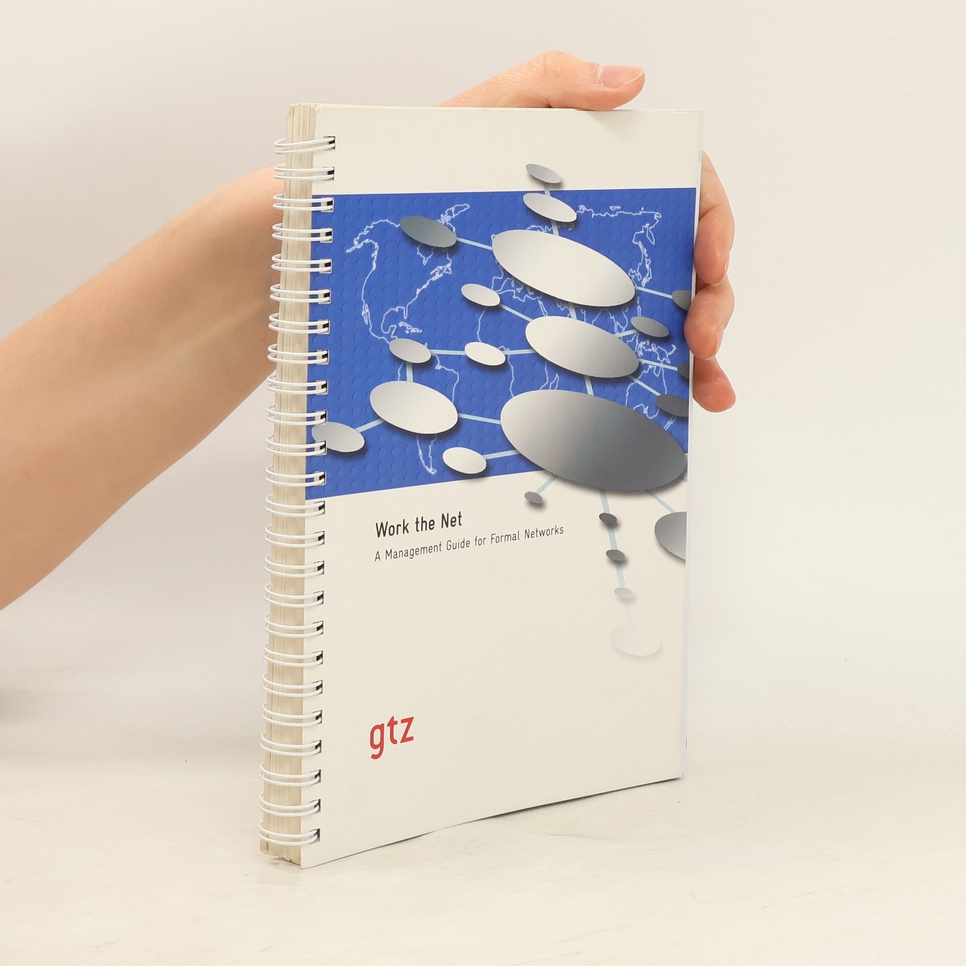 Kolektiv autorů Work the Net: A Management Guide for Formal Networks