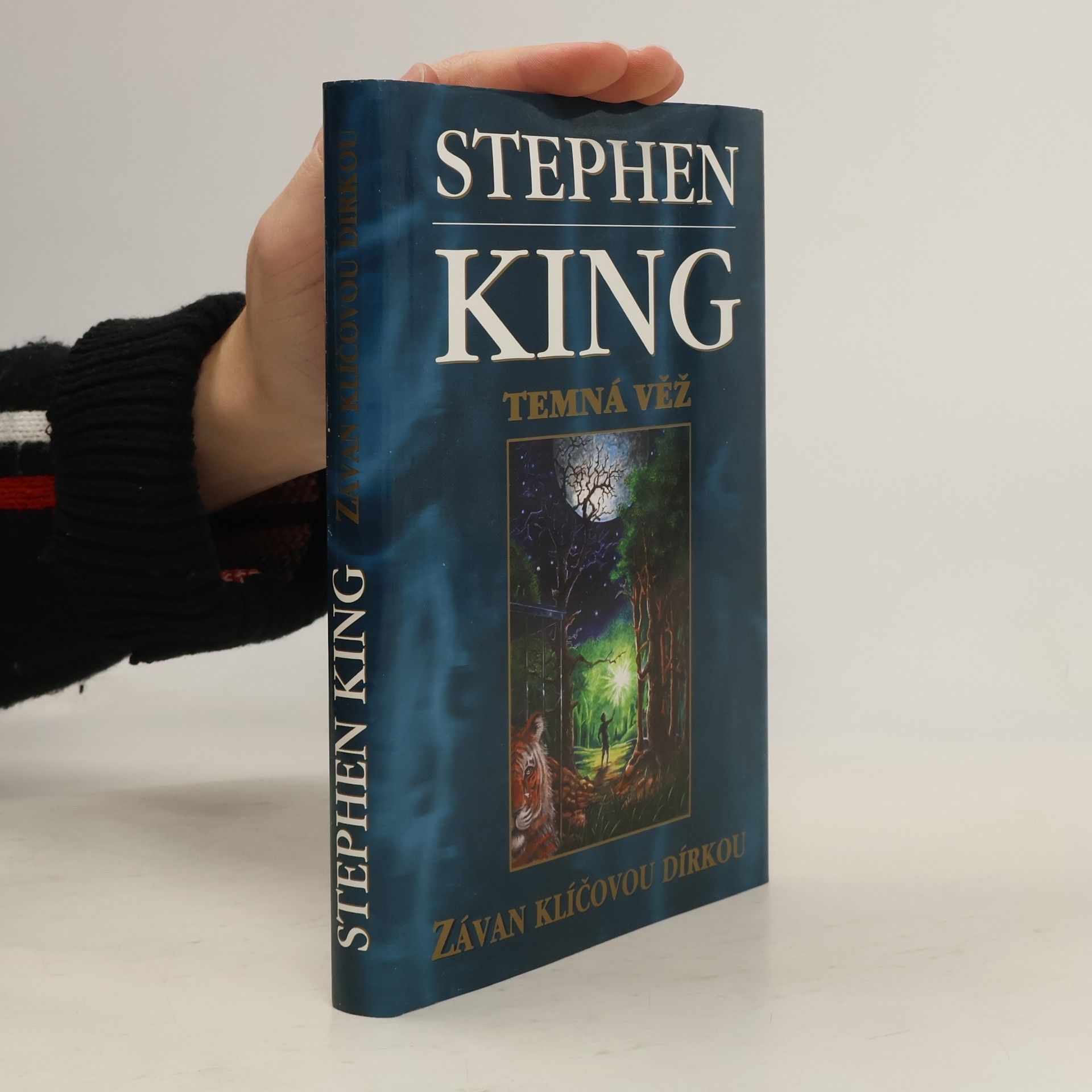 Stephen King Temná věž: Závan klíčovou dírkou