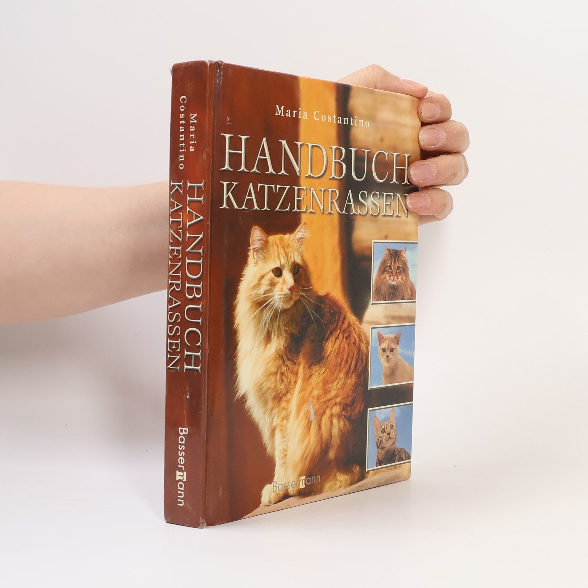 Handbuch Katzenrassen