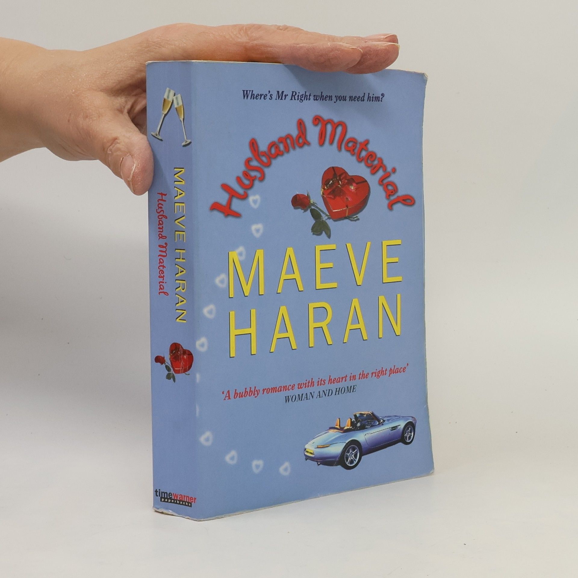 Maeve Haran Husband Material