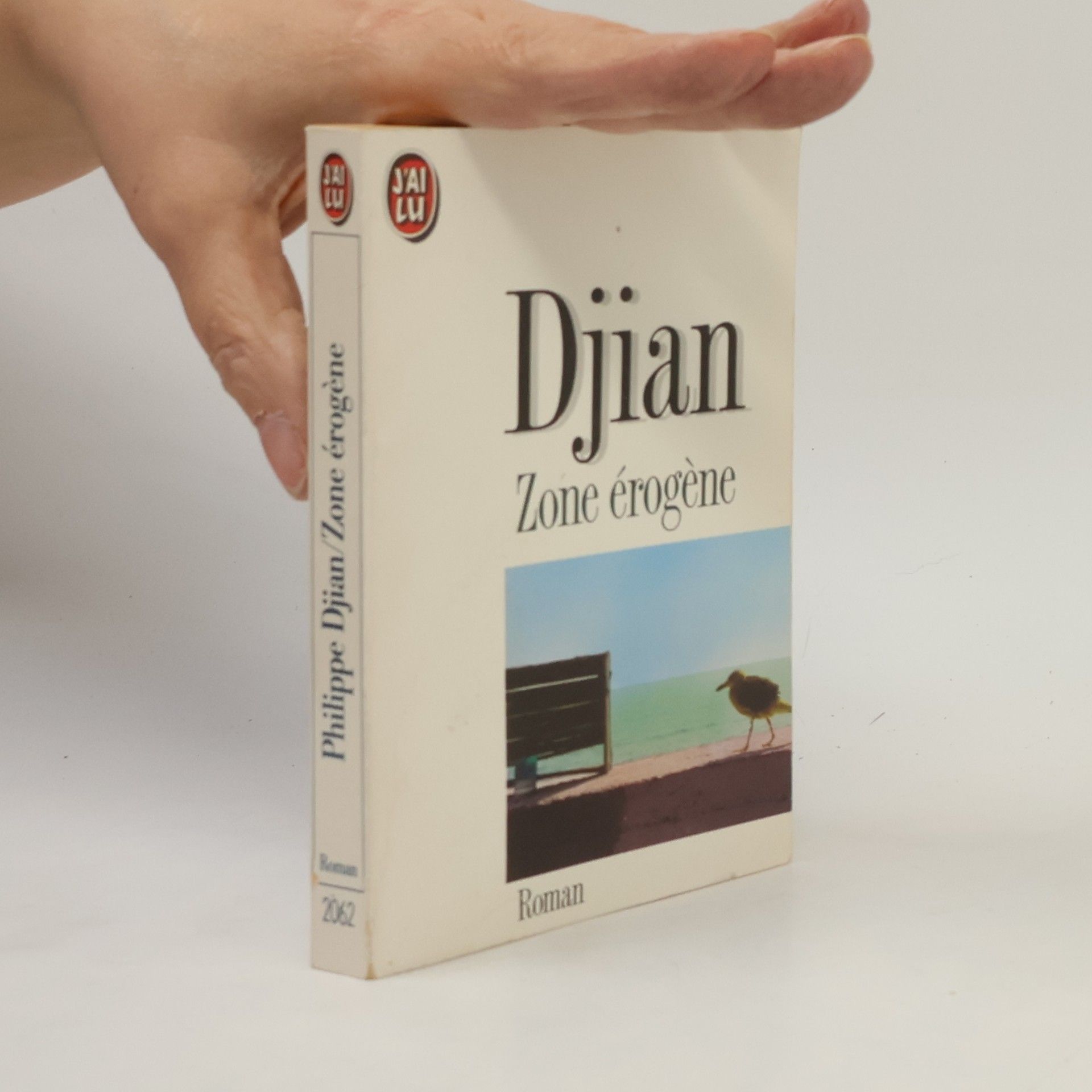 Philippe Djian Zone érogène