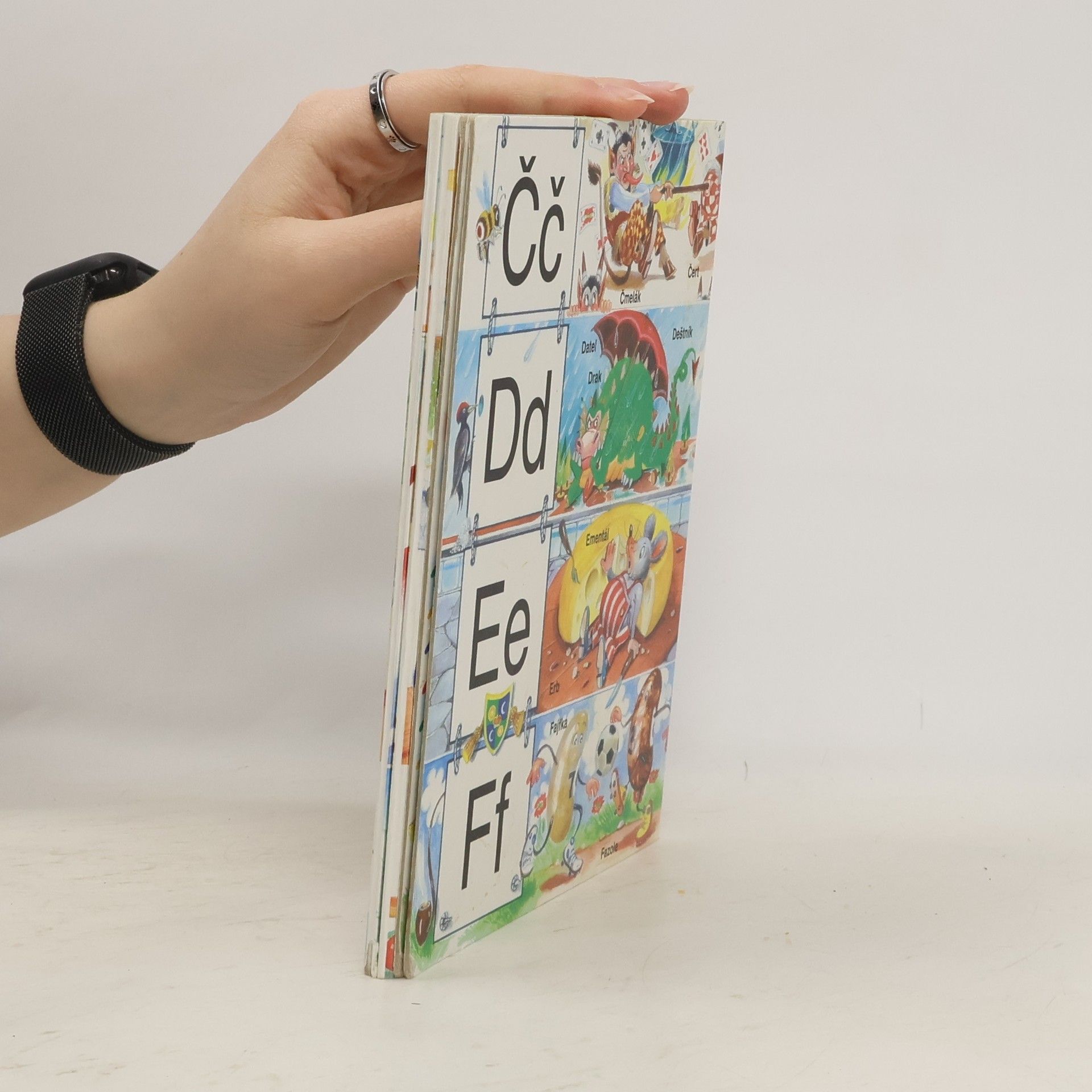 Dagmar Košková Miniškola