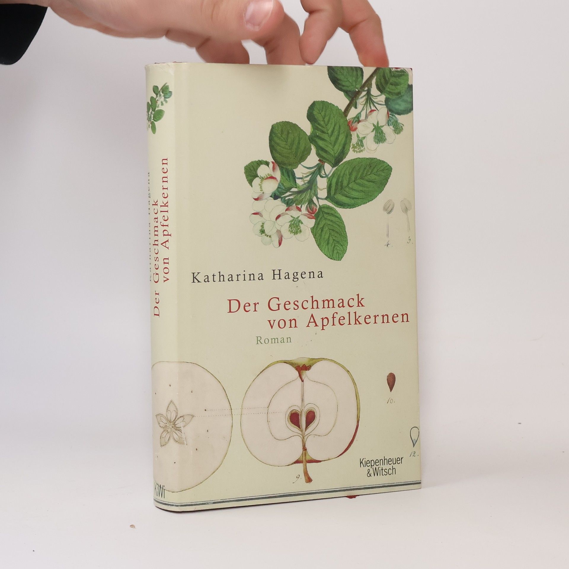 Katharina Hagena Der Geschmack von Apfelkernen