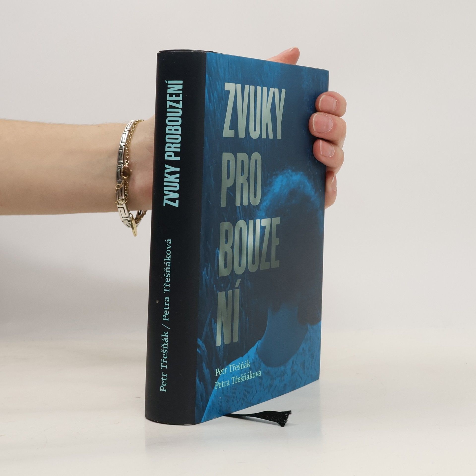 Petr Třešňák Zvuky probouzení