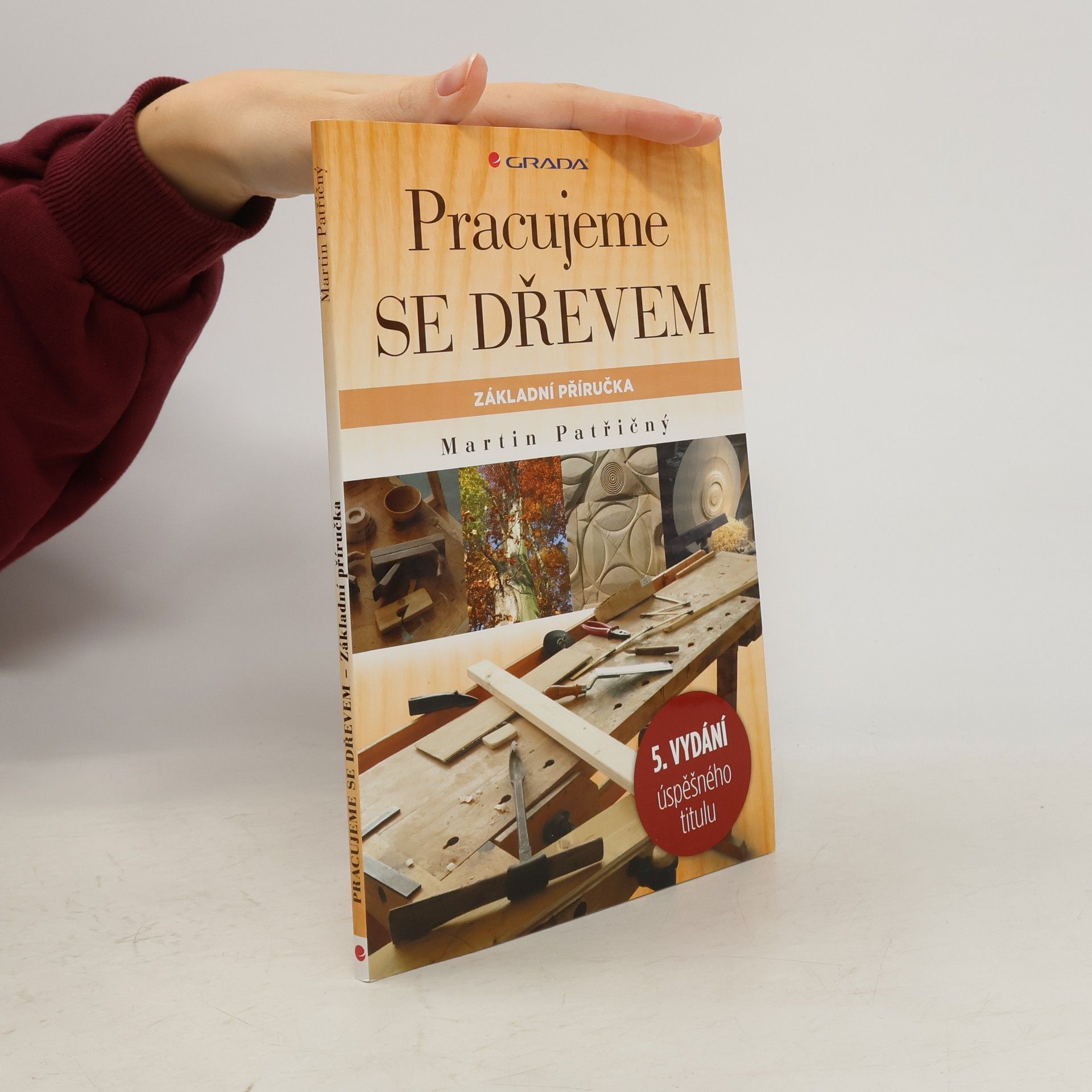 Martin Patřičný Pracujeme se dřevem. Základní příručka
