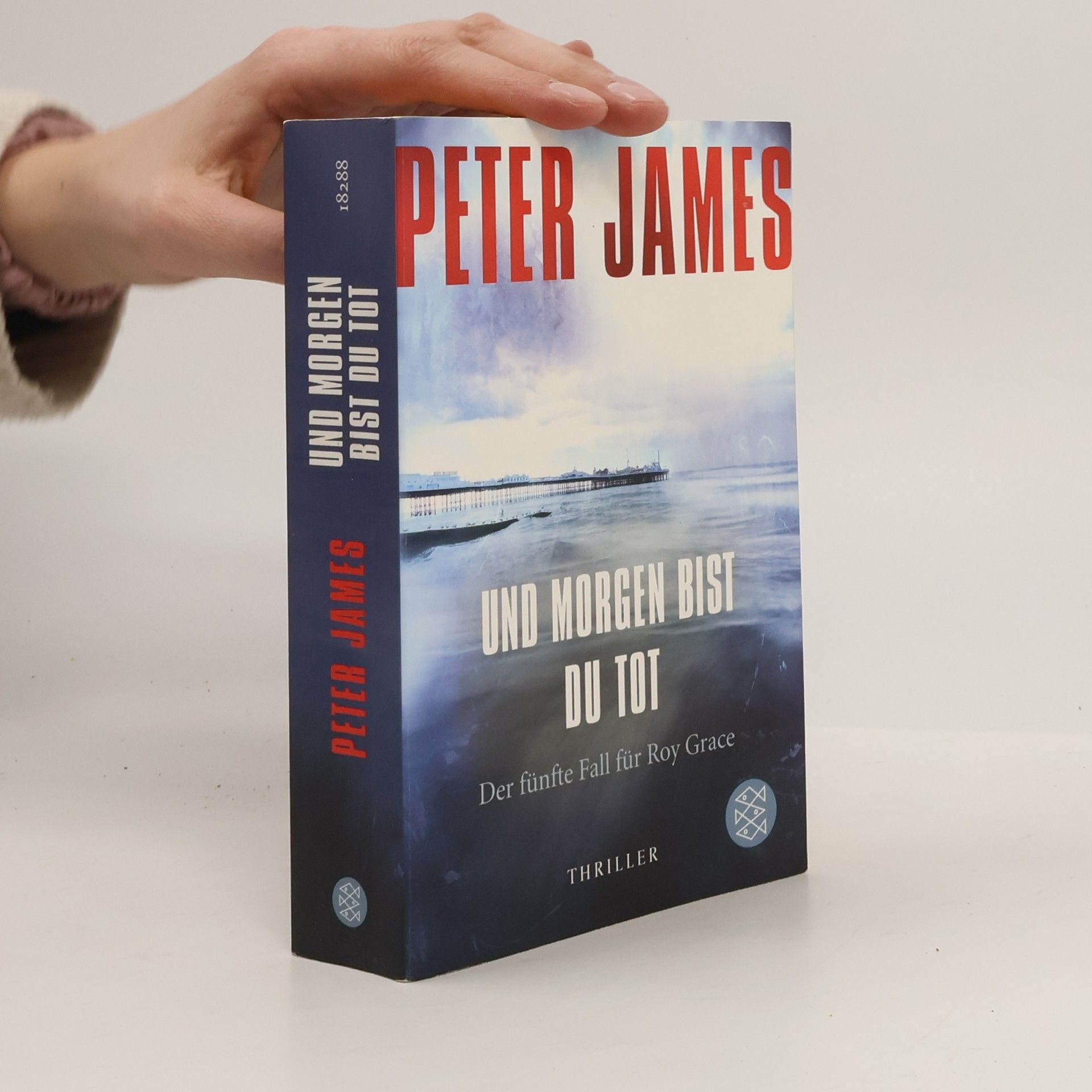 Peter James Und morgen bist du tot
