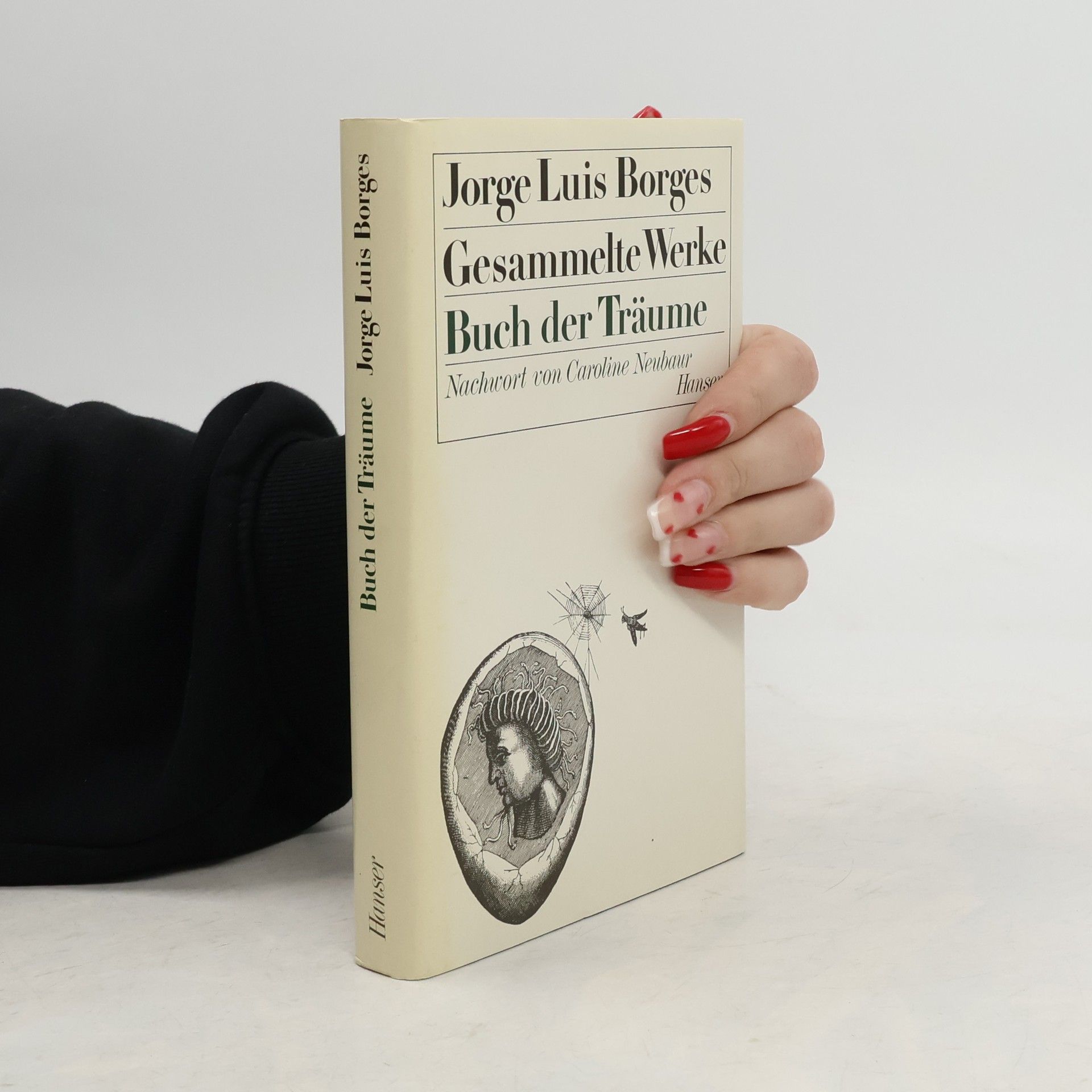 Jorge Luis Borges Gesammelte Werke. Buch der Träume