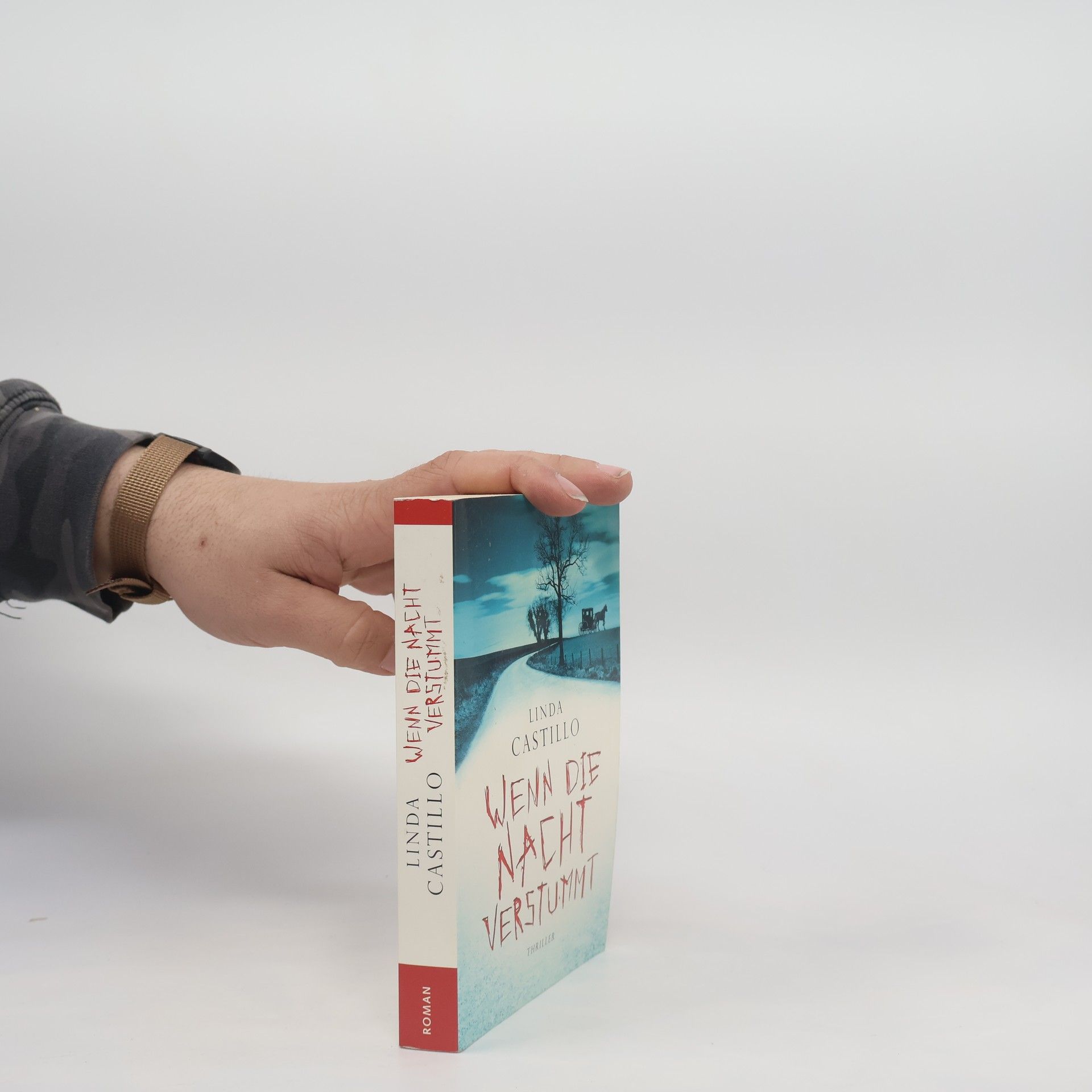 Linda Castillo Wenn die Nacht verstummt