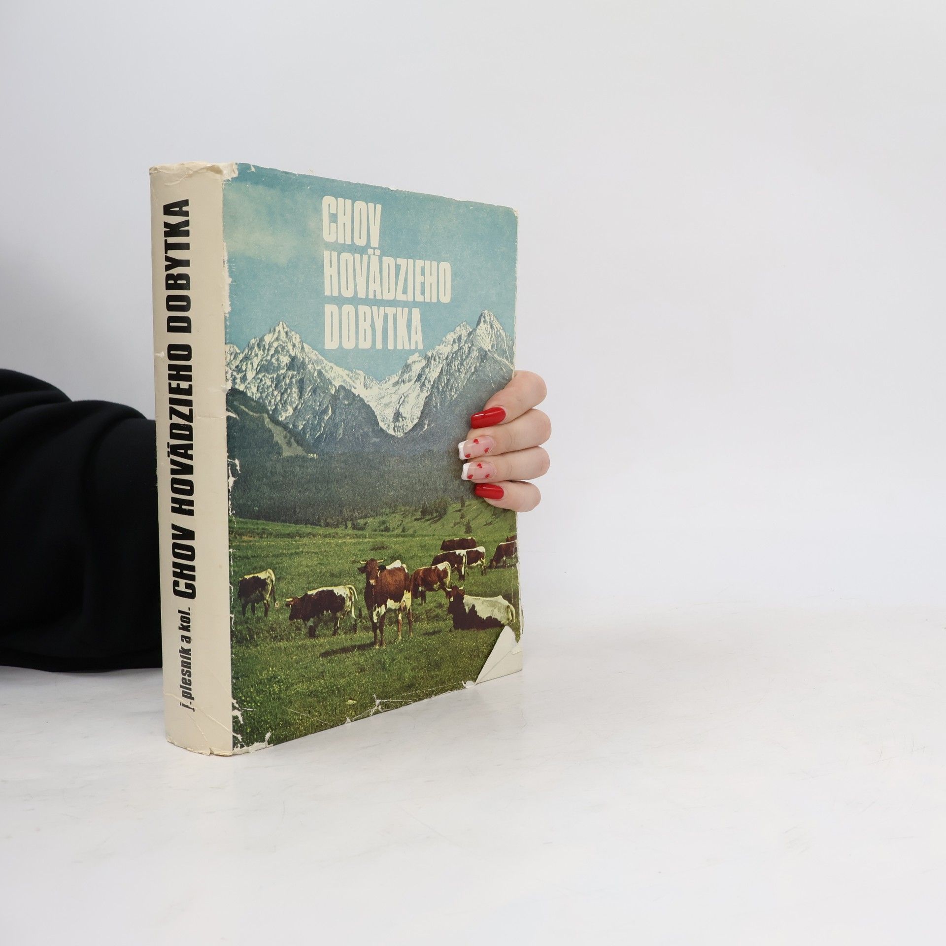 Jan Plesník Chov hovädzieho dobytka