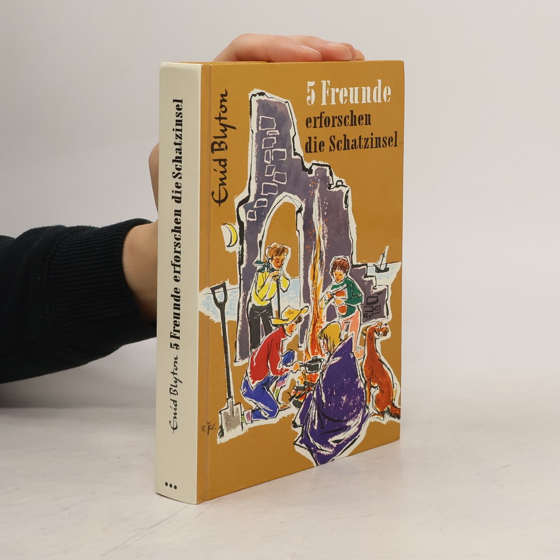 Enid Blyton 5 Freunde erforschen die Schatzinsel