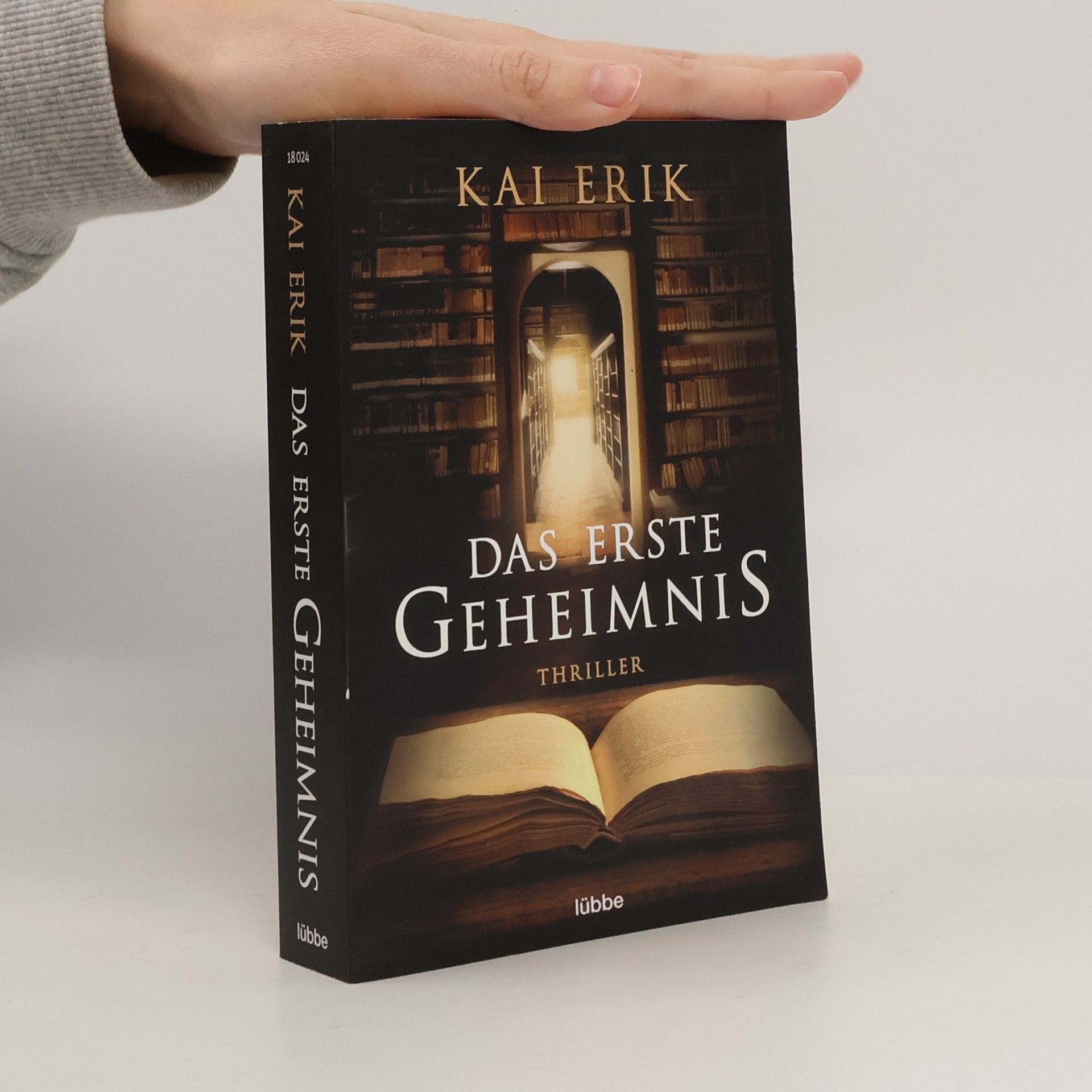 Kai Erik Das erste Geheimnis