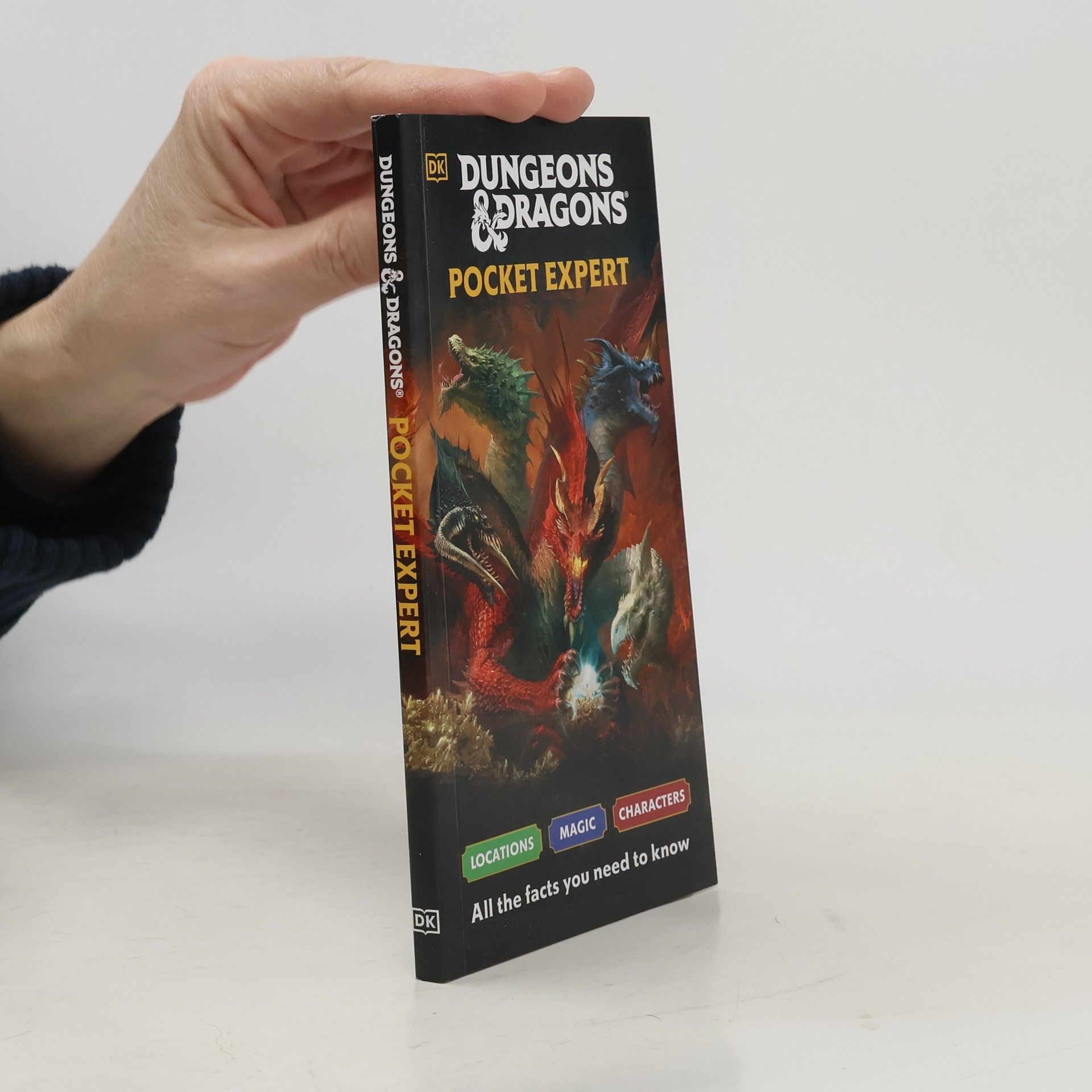 Stacy King Dungeons & Dragons Pocket Expert