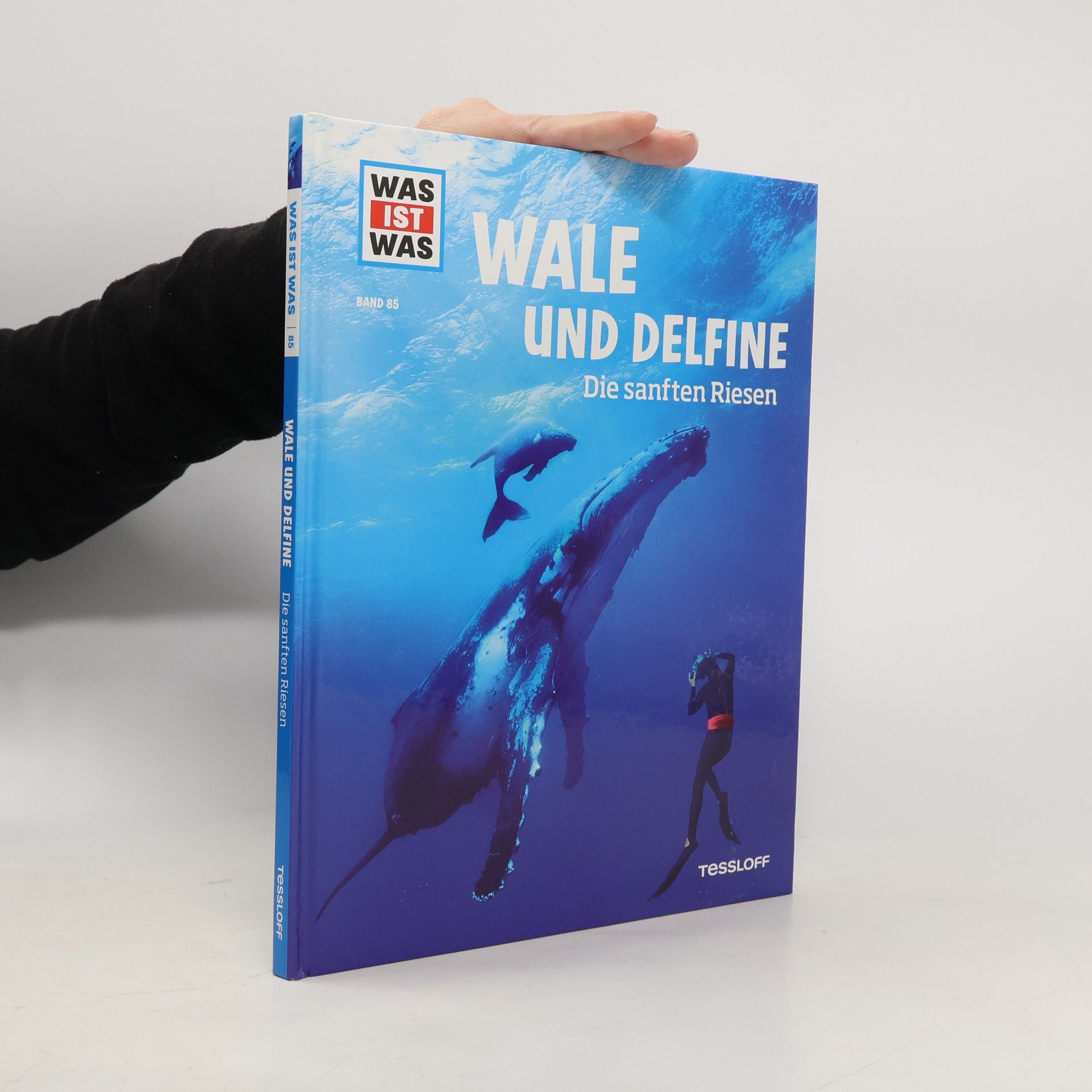 Manfred Baur Wale und Delfine