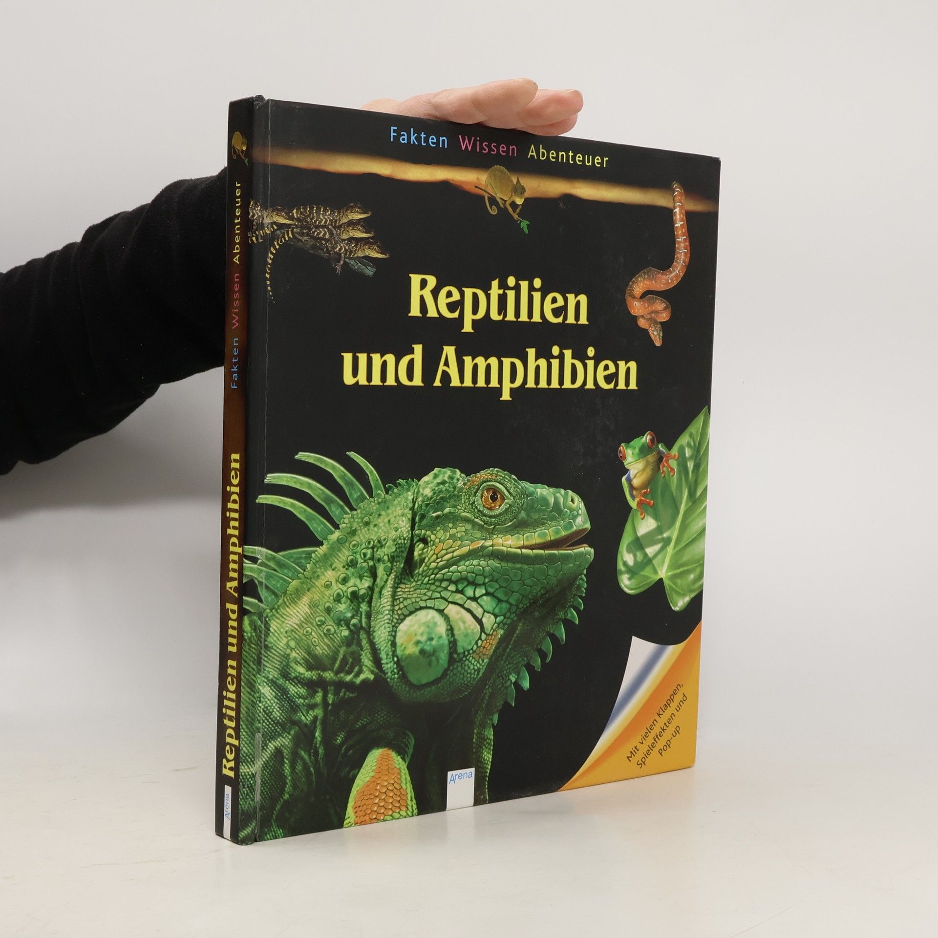 Lydwine Morvan Fakten Wissen Abenteuer: Reptilien und Amphibien