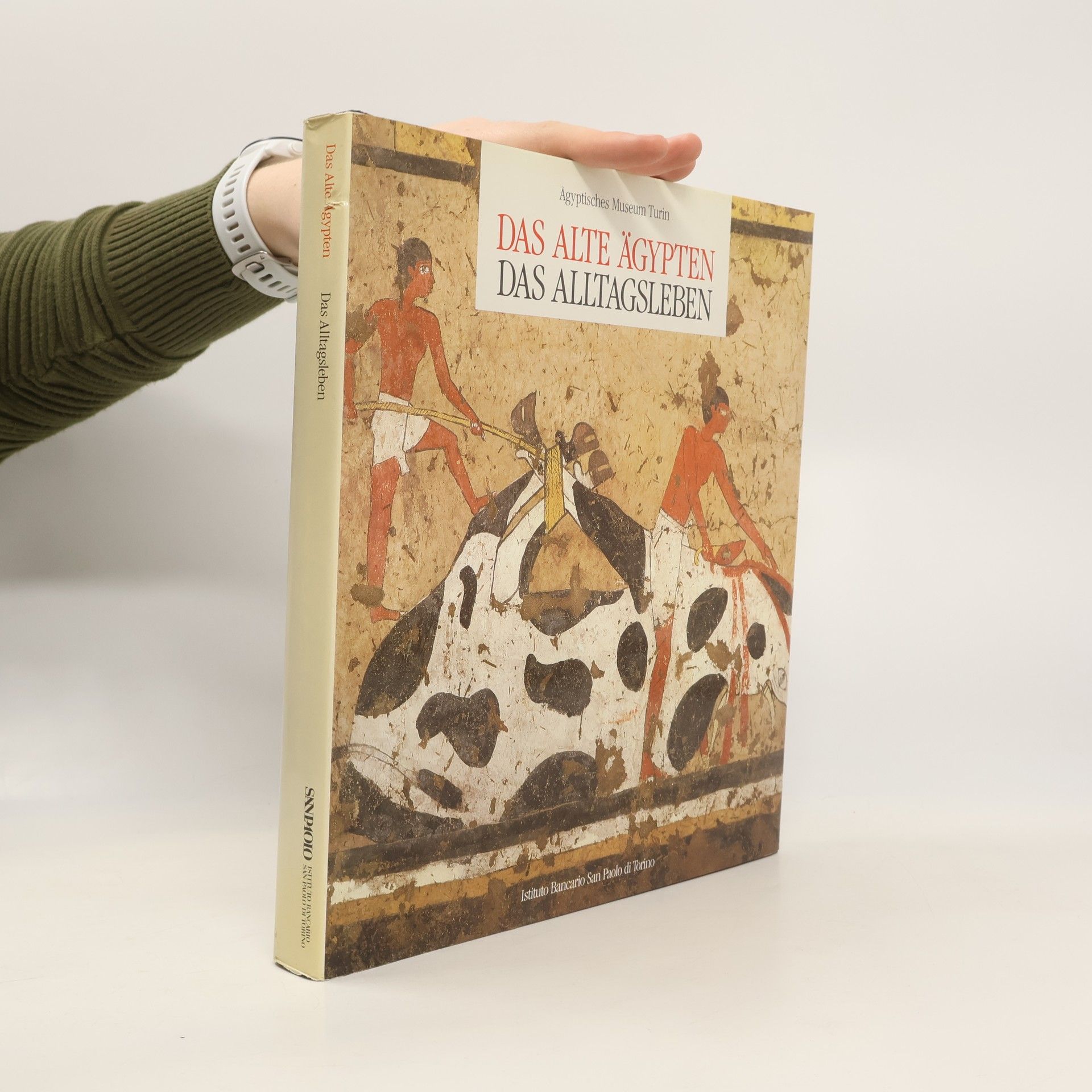 Collectif d'auteurs Das Alte Ägypten. Das Alltagsleben