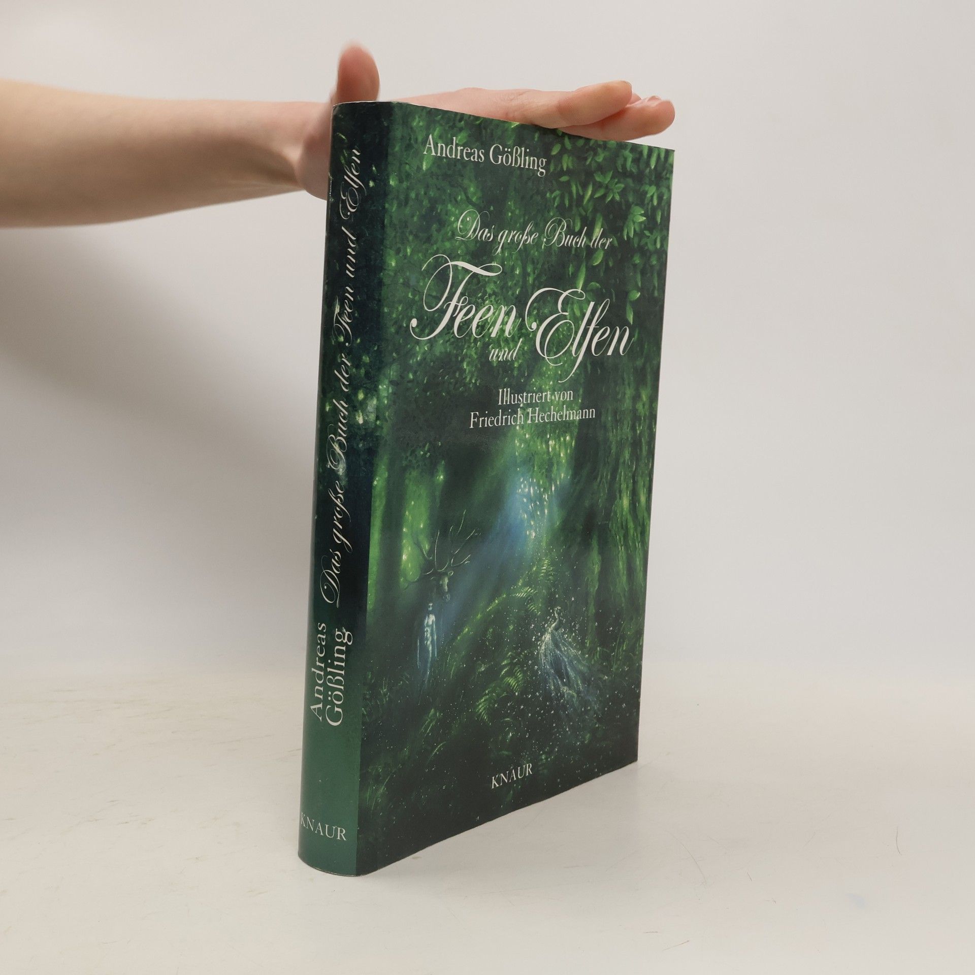 Das große Buch der Feen und Elfen