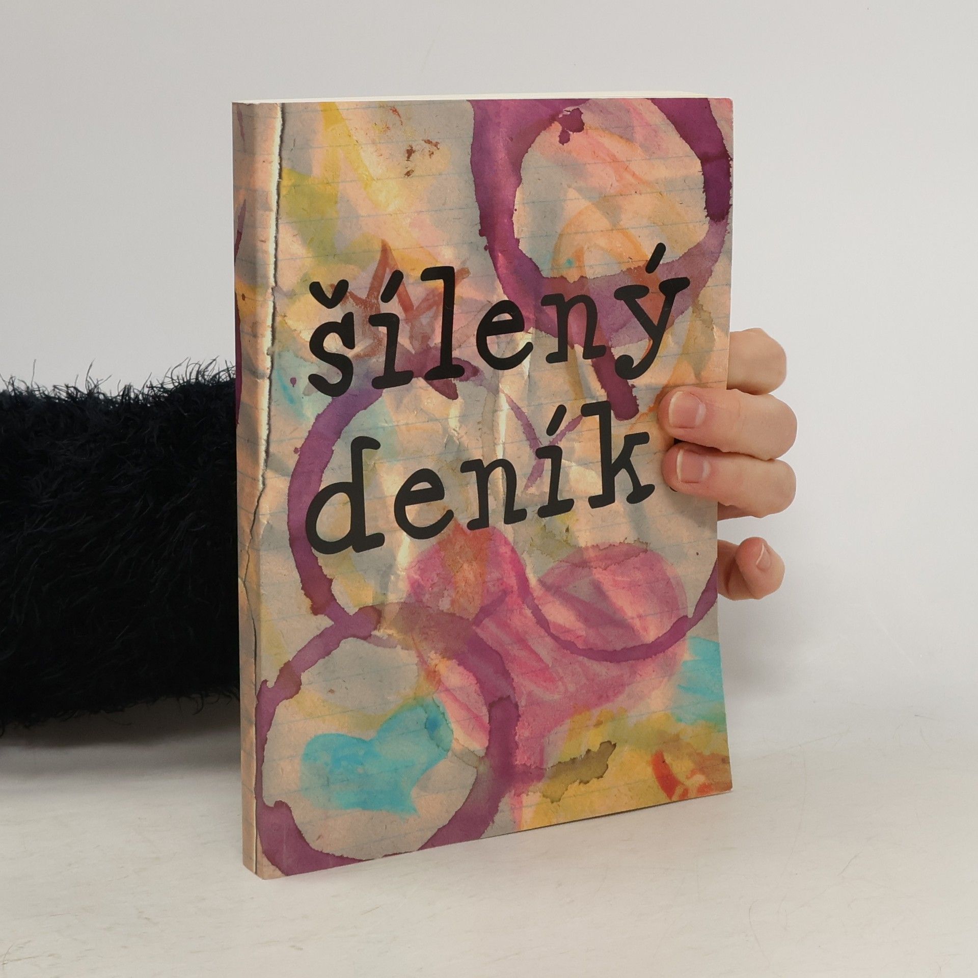 Marie Hohlová Šílený deník!