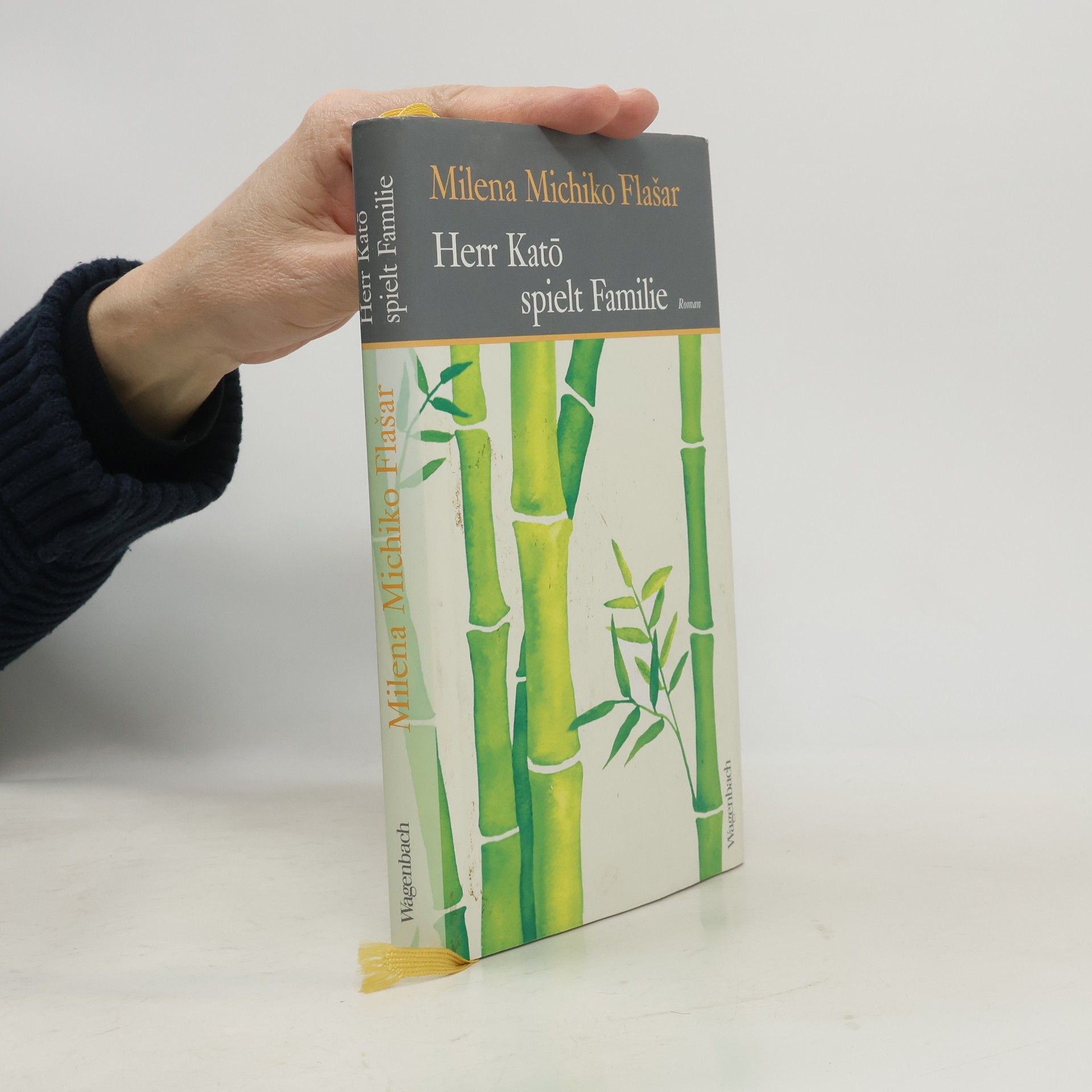 Milena Michiko Flašar Herr Katō spielt Familie : Roman