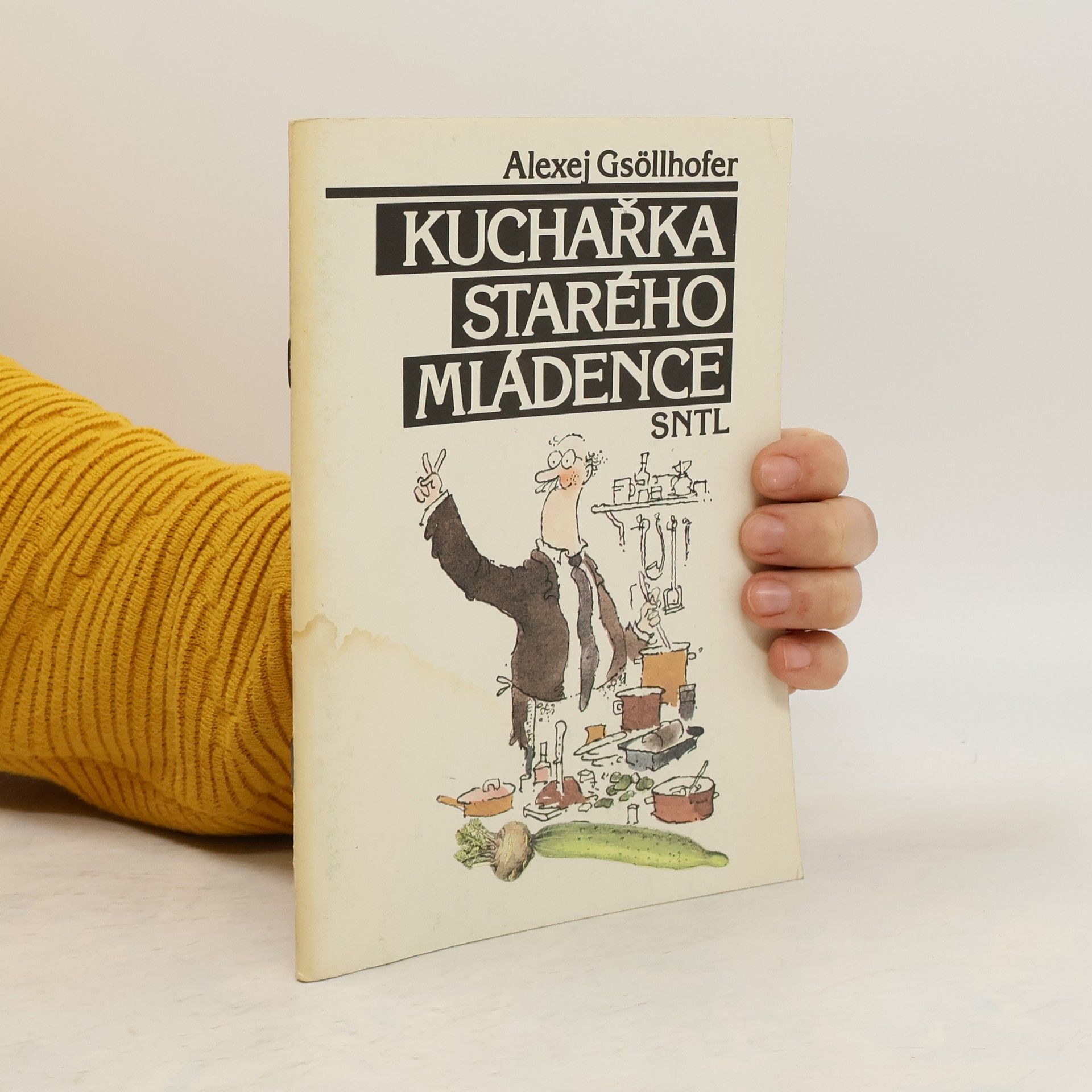 Vladimír Renčín Kuchařka starého mládence