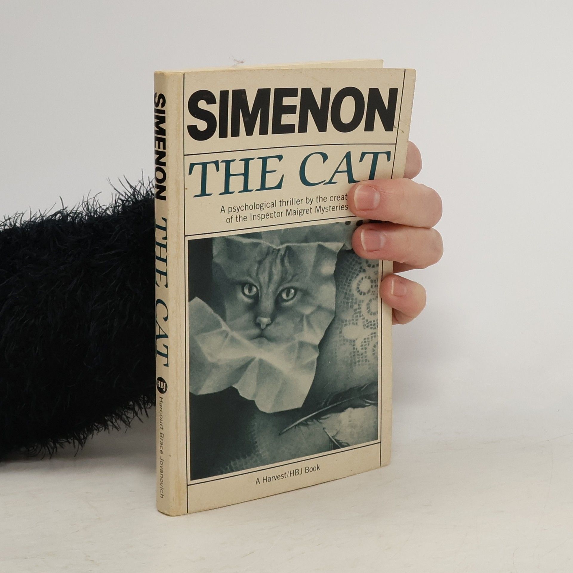 Georges Simenon The Cat