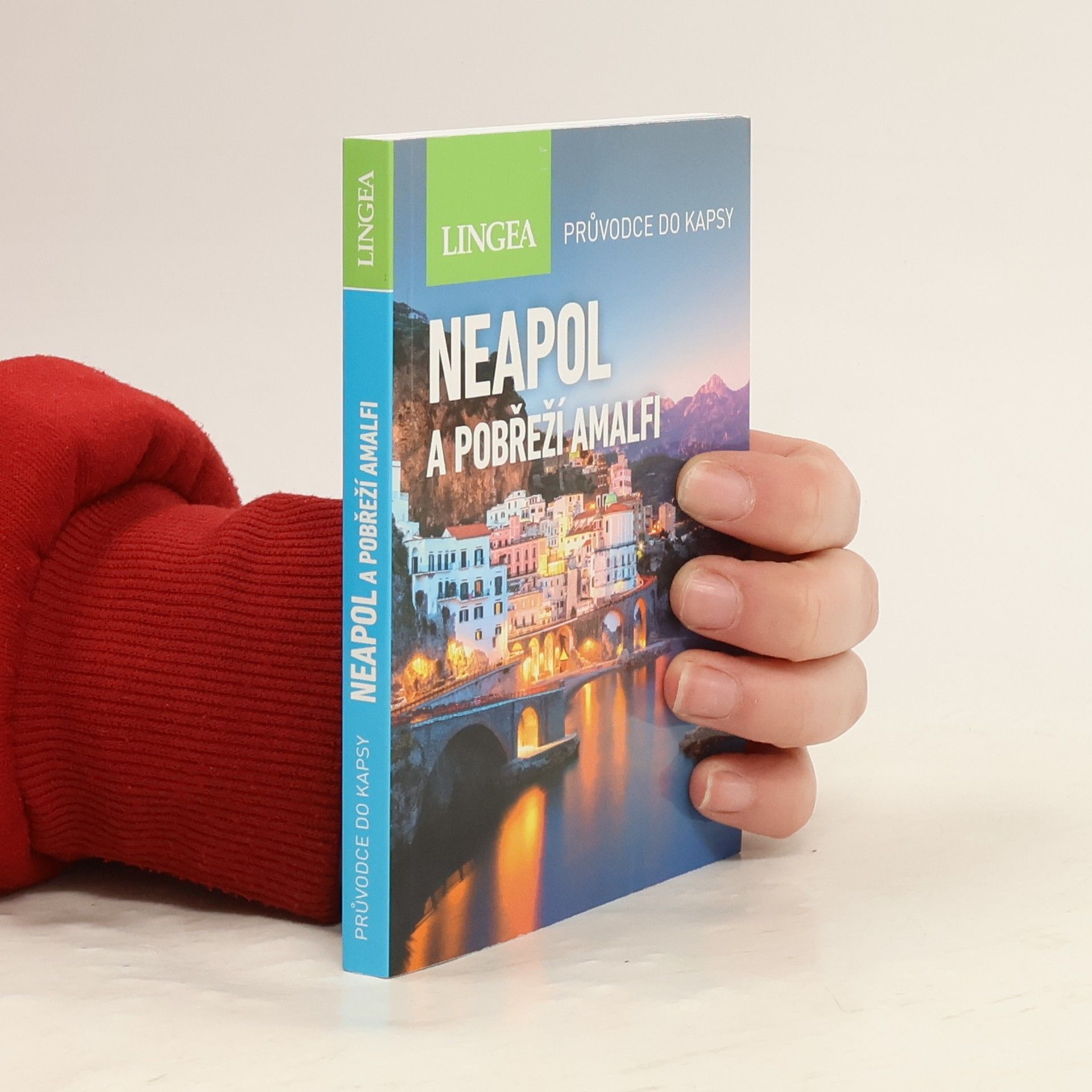 Collectif d'auteurs Neapol a pobřeží Amalfi. Průvodce do kapsy