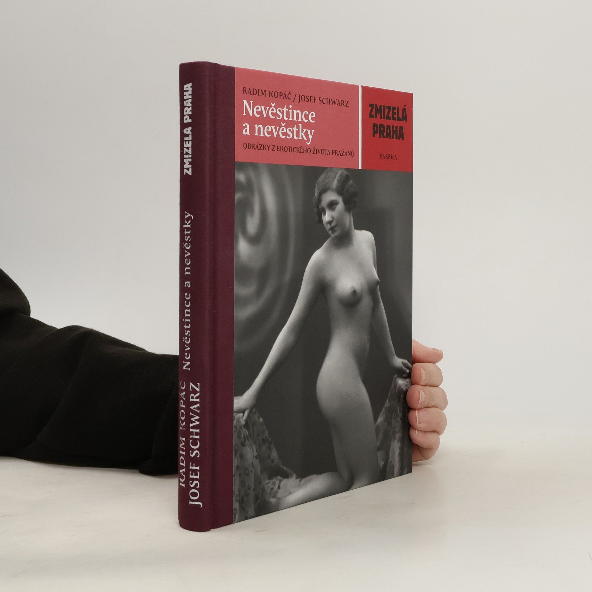Nevěstince a nevěstky: Obrázky z erotického života Pražanů