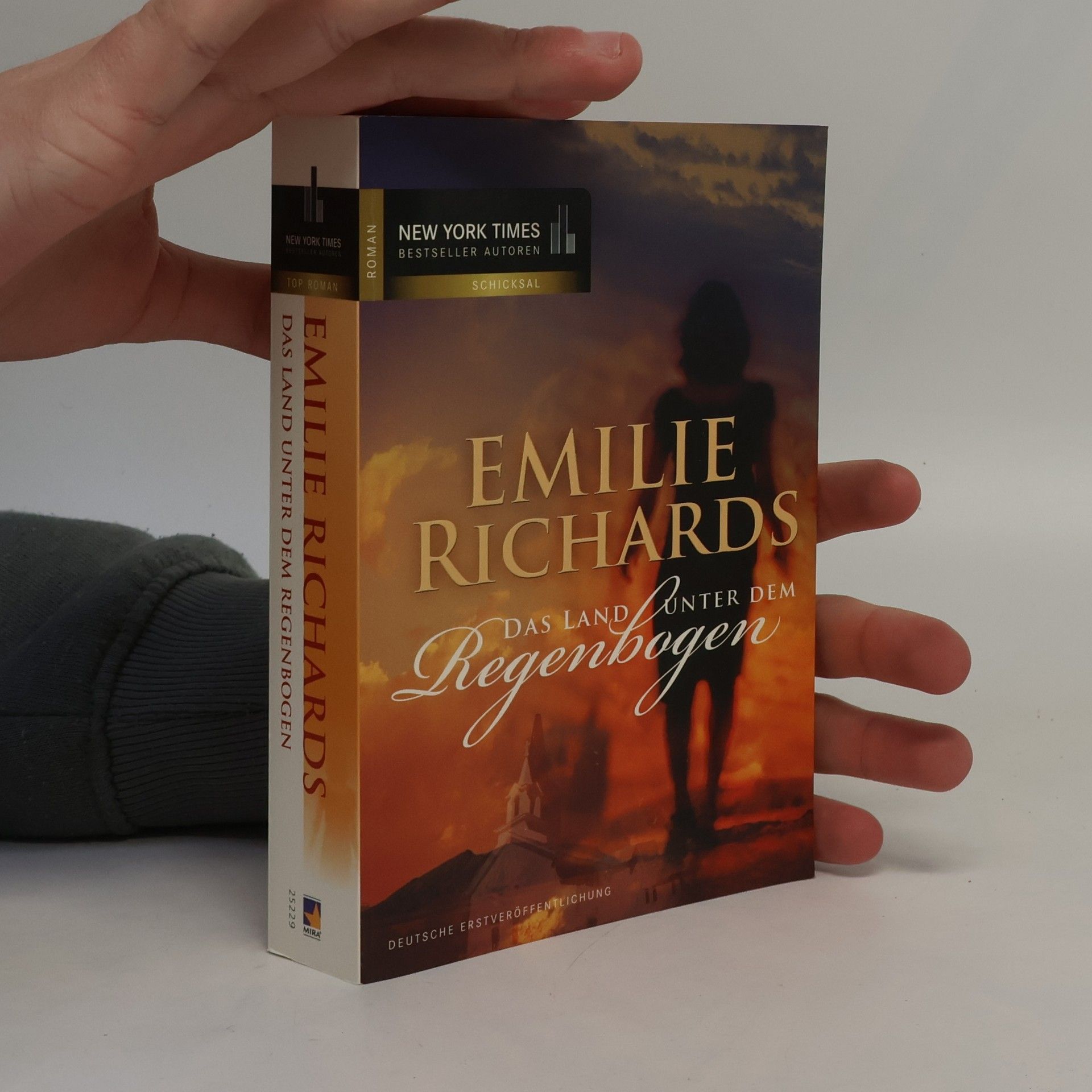 Emilie Richards Das Land unter dem Regenbogen