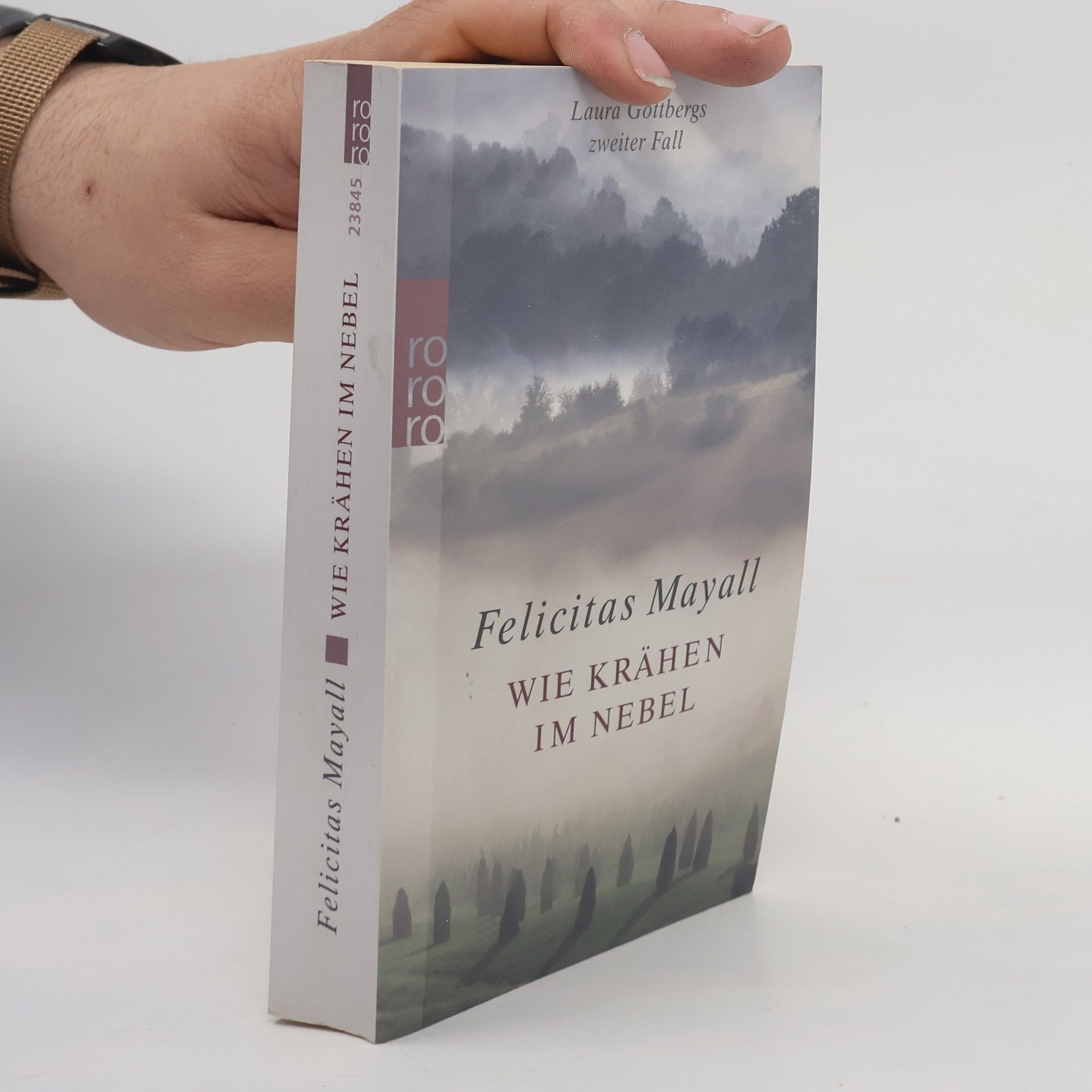 Felicitas Mayall Wie Krähen im Nebel