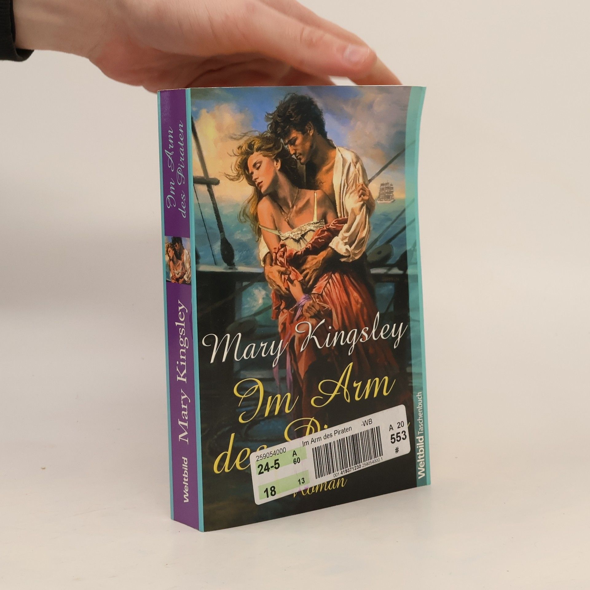 Mary Kruger Im Arm des Piraten