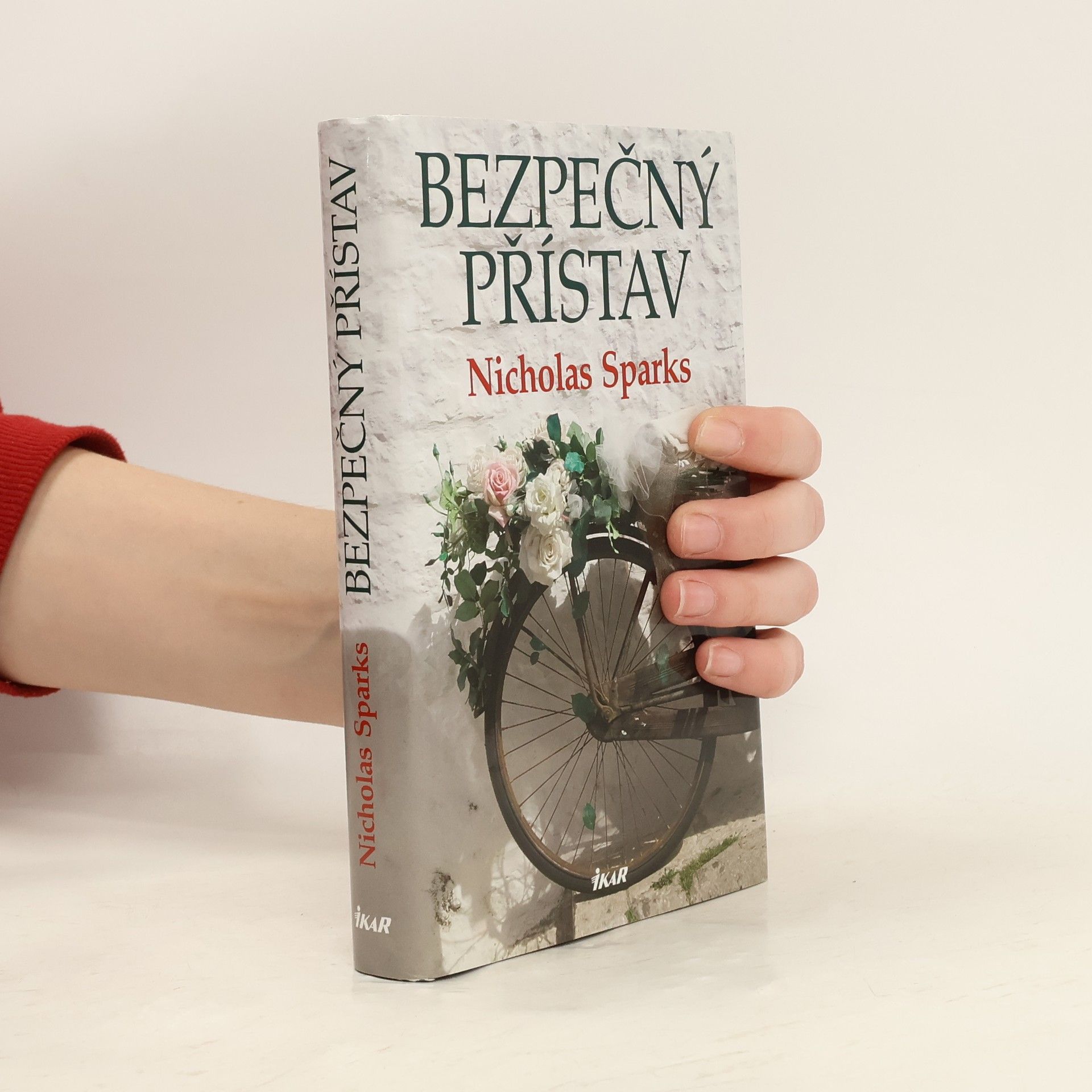 Nicholas Sparks Bezpečný přístav