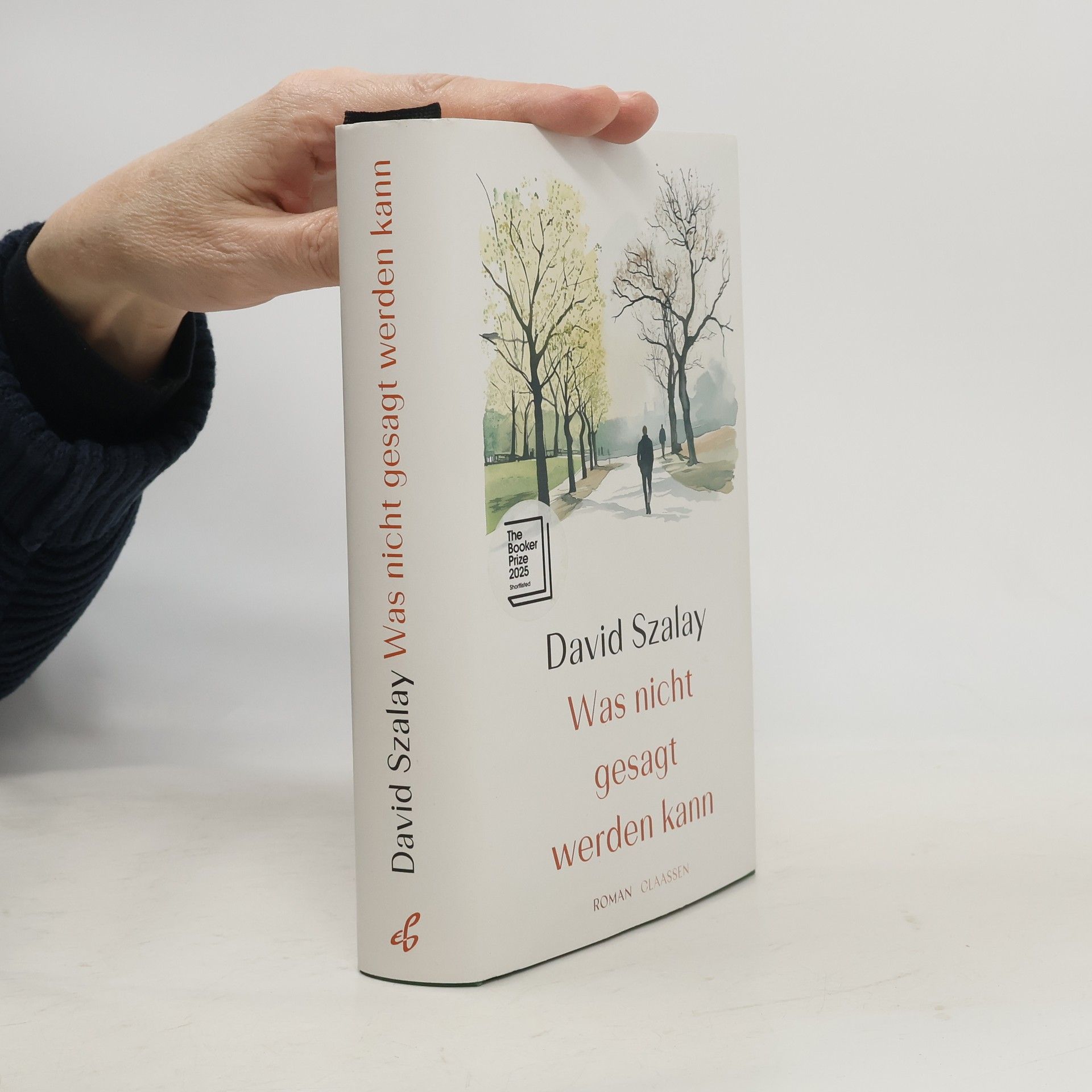 David Szalay Was nicht gesagt werden kann