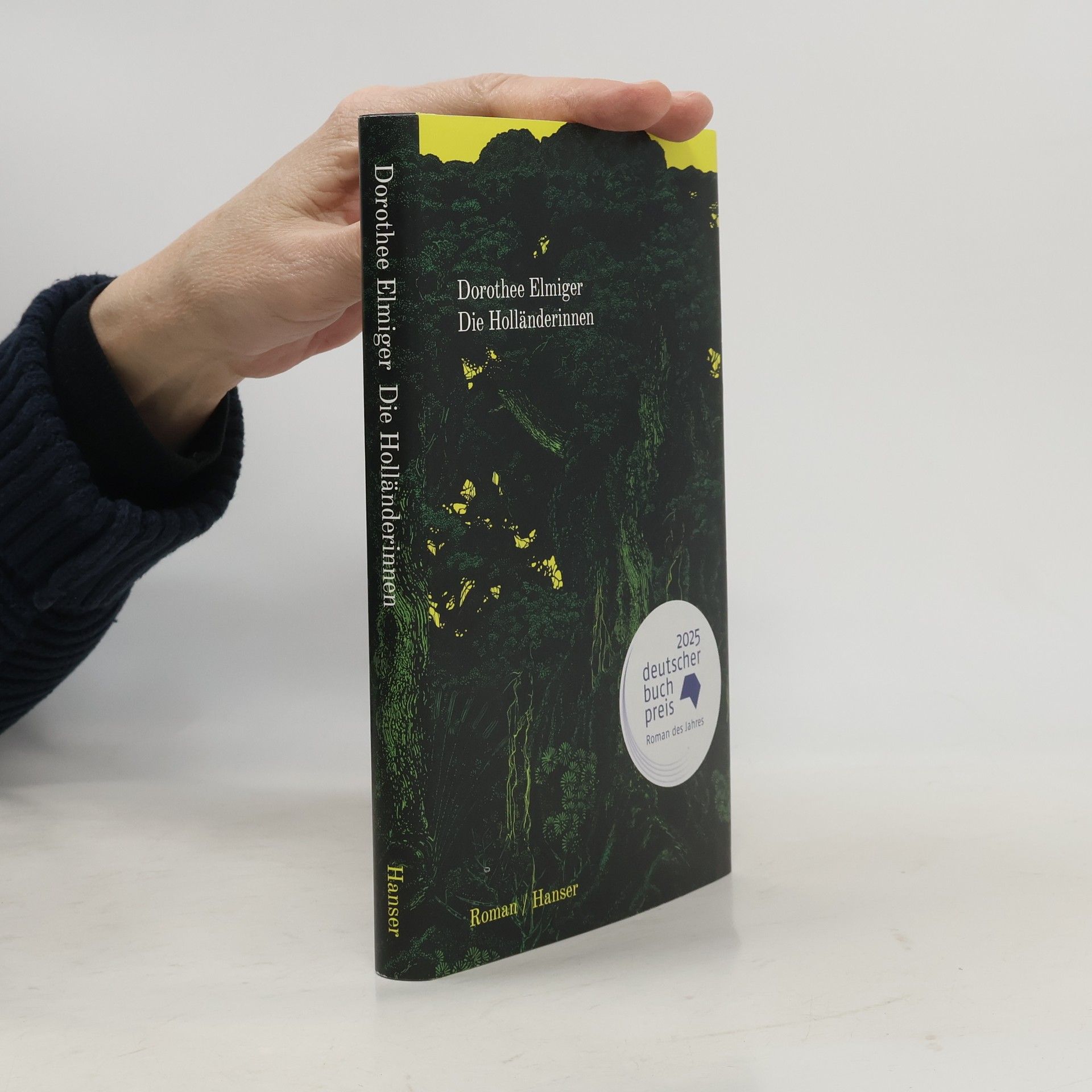 Dorothee Elmiger Die Holländerinnen