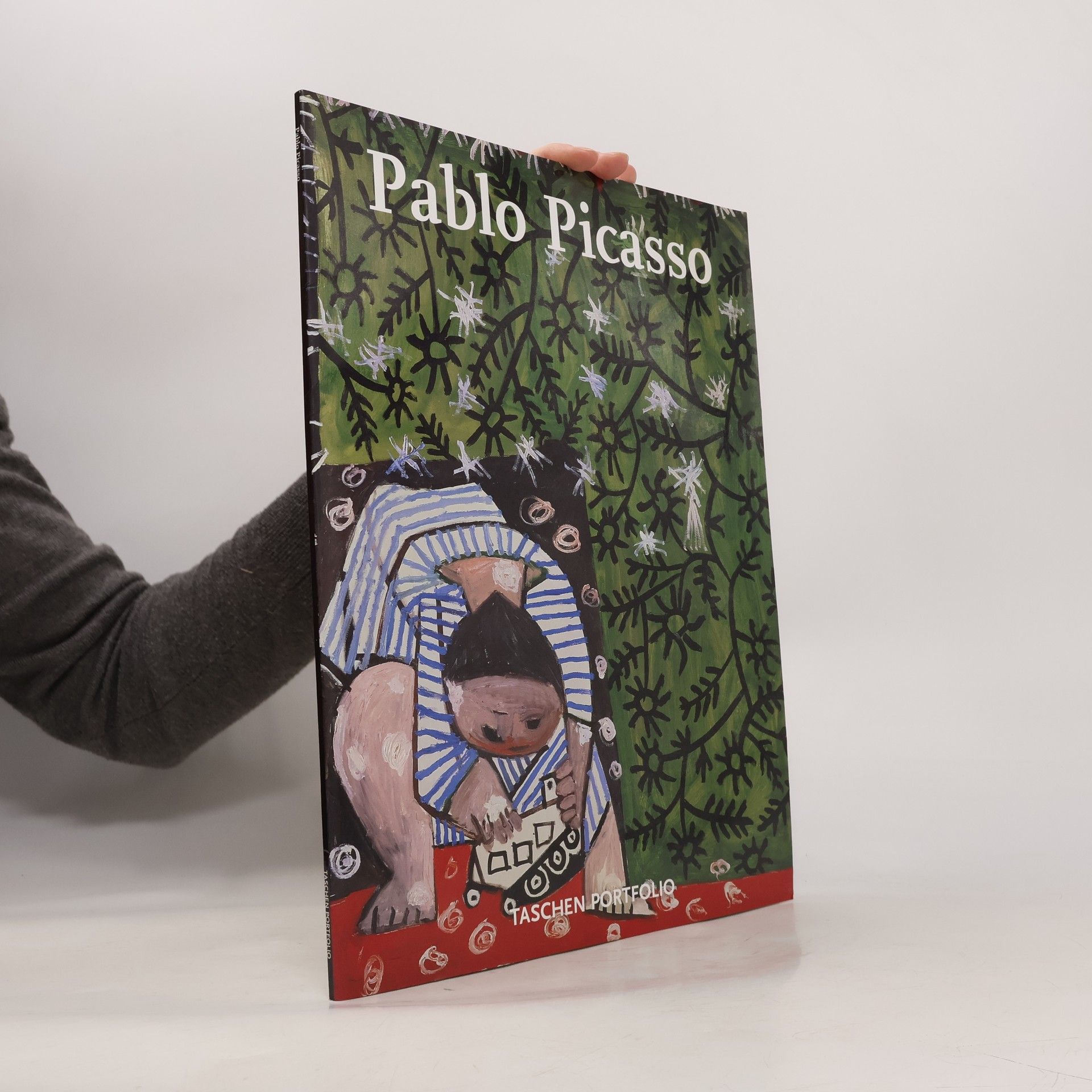 Pablo Picasso Portfolio: Pablo Picasso. Ediz. inglese, francese e tedesca