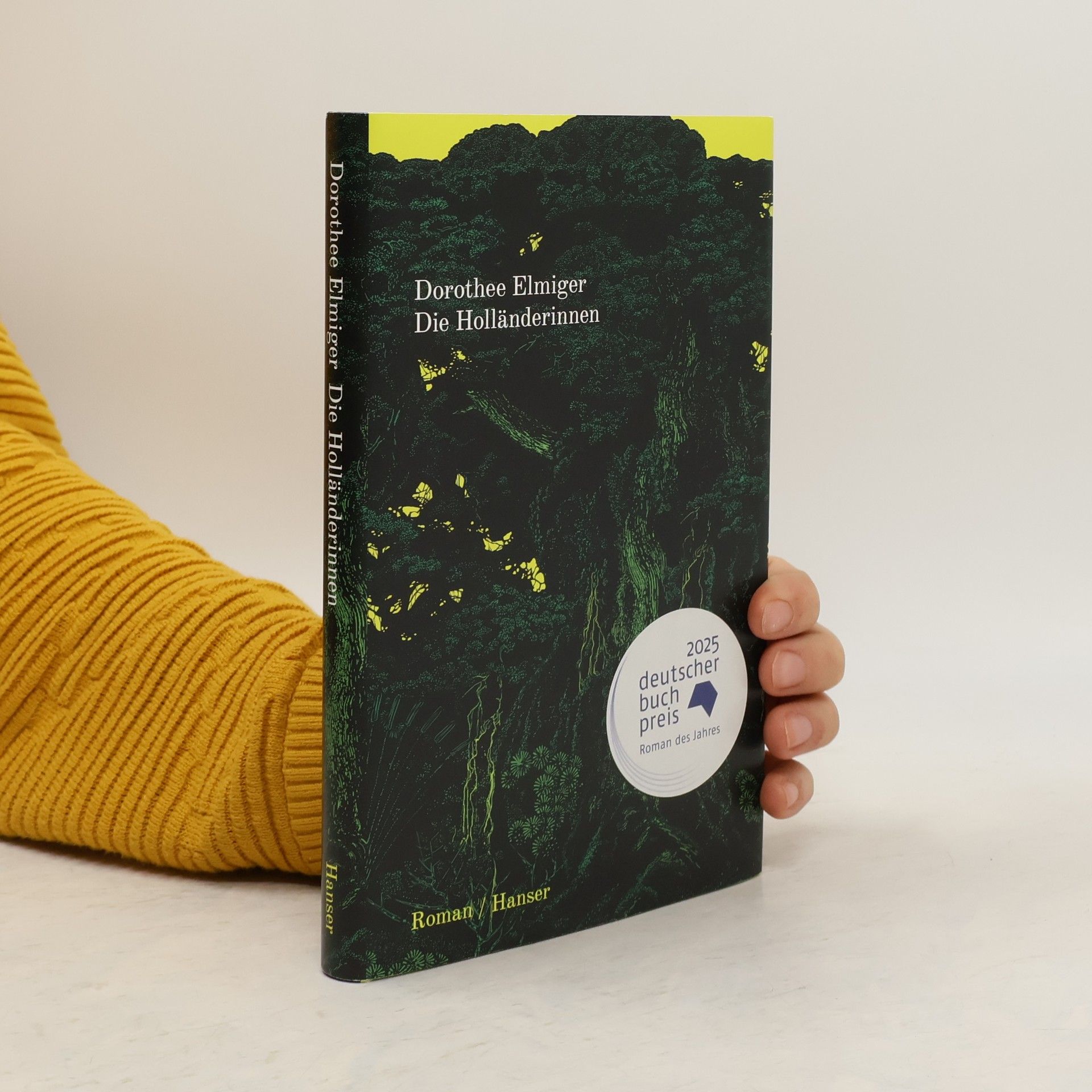 Dorothee Elmiger Die Holländerinnen