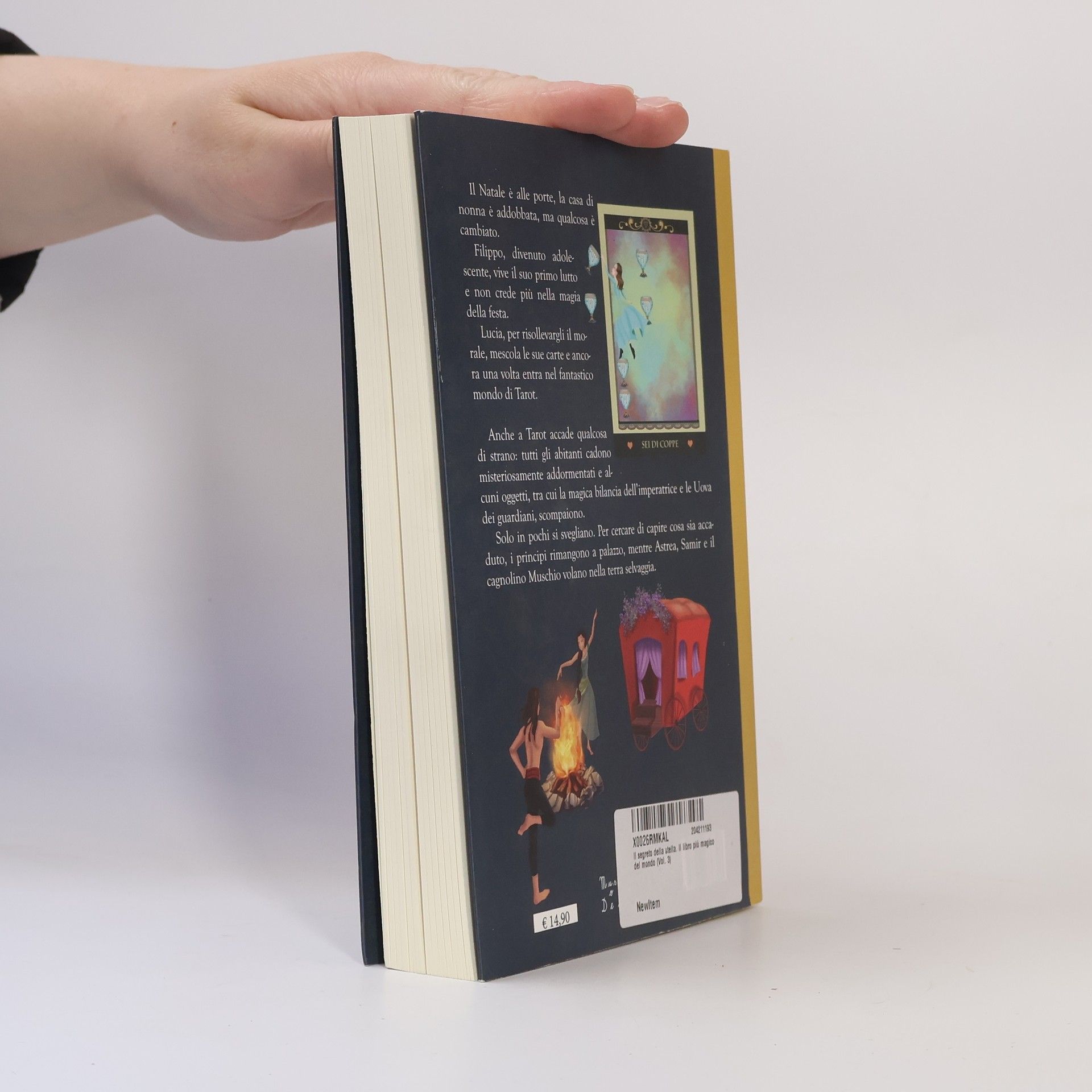 Valeria Menozzi Il segreto della stella. Il libro più magico del mondo