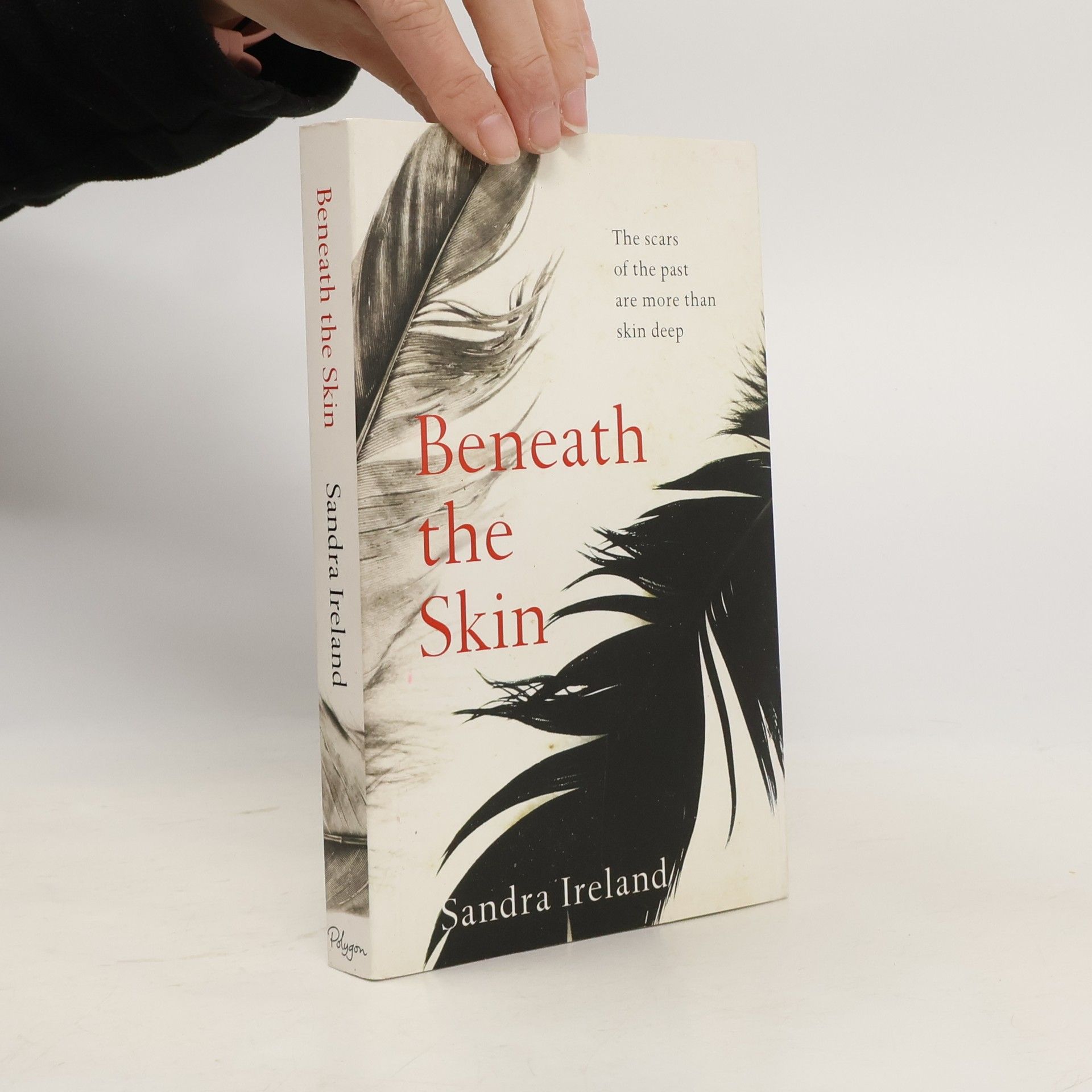 Sandra Ireland Beneath the Skin