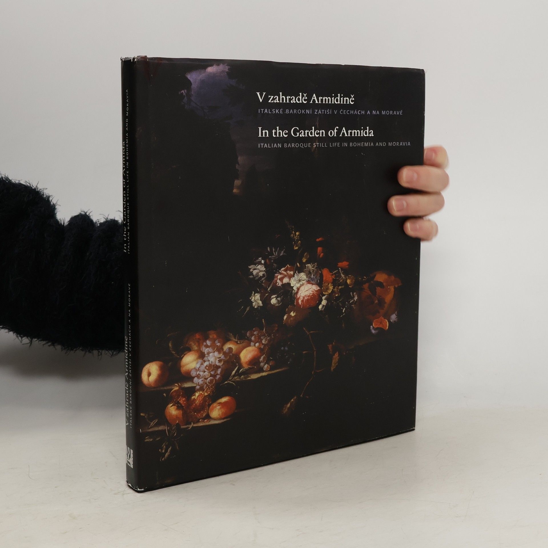 Zdeněk Kazlepka V zahradě Armidině