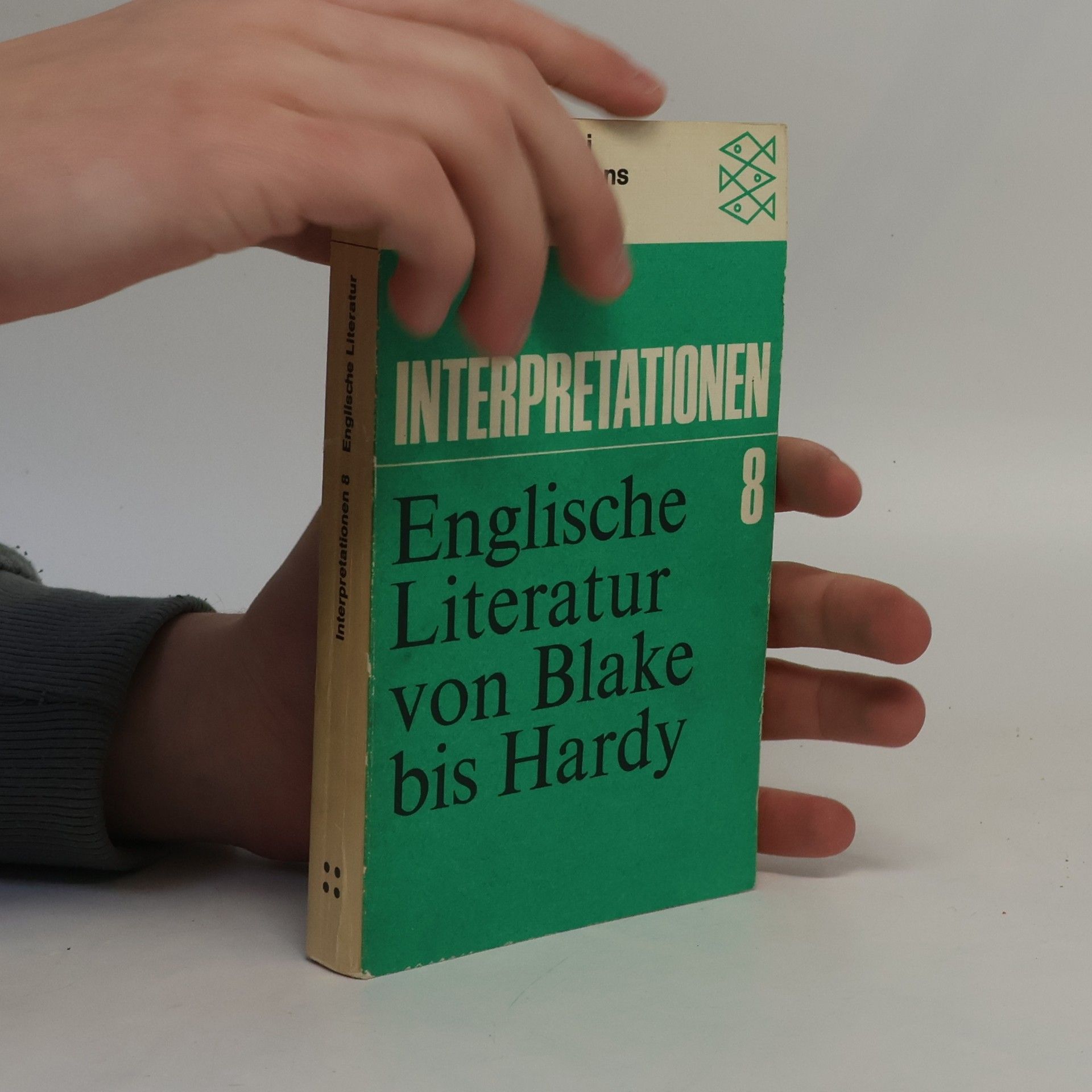 Willi Erzgräber Interpretationen 8. Englische Literatur von Blake bis Hardy