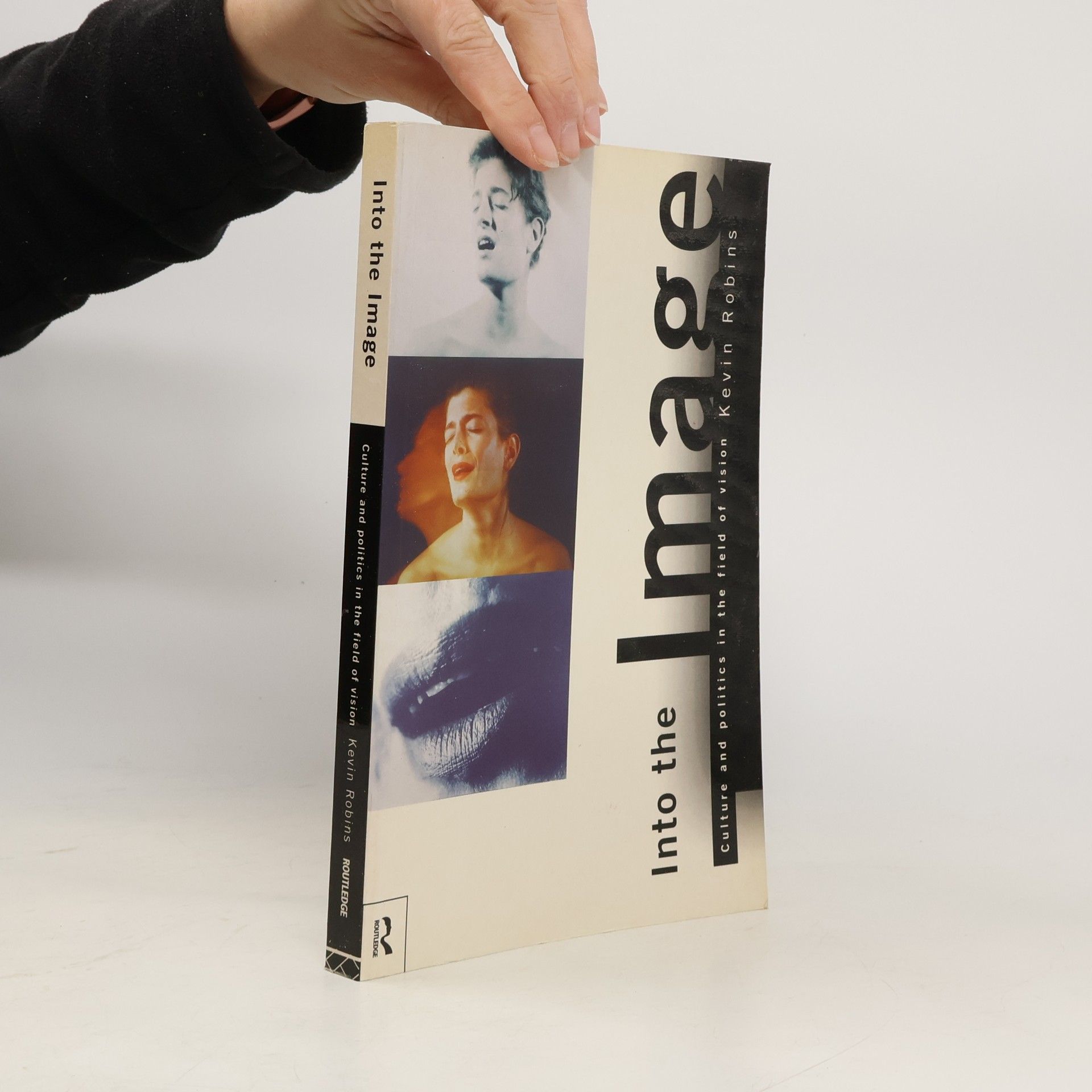 Curtis M. Fowler Kevin T. Robinson Into the Image