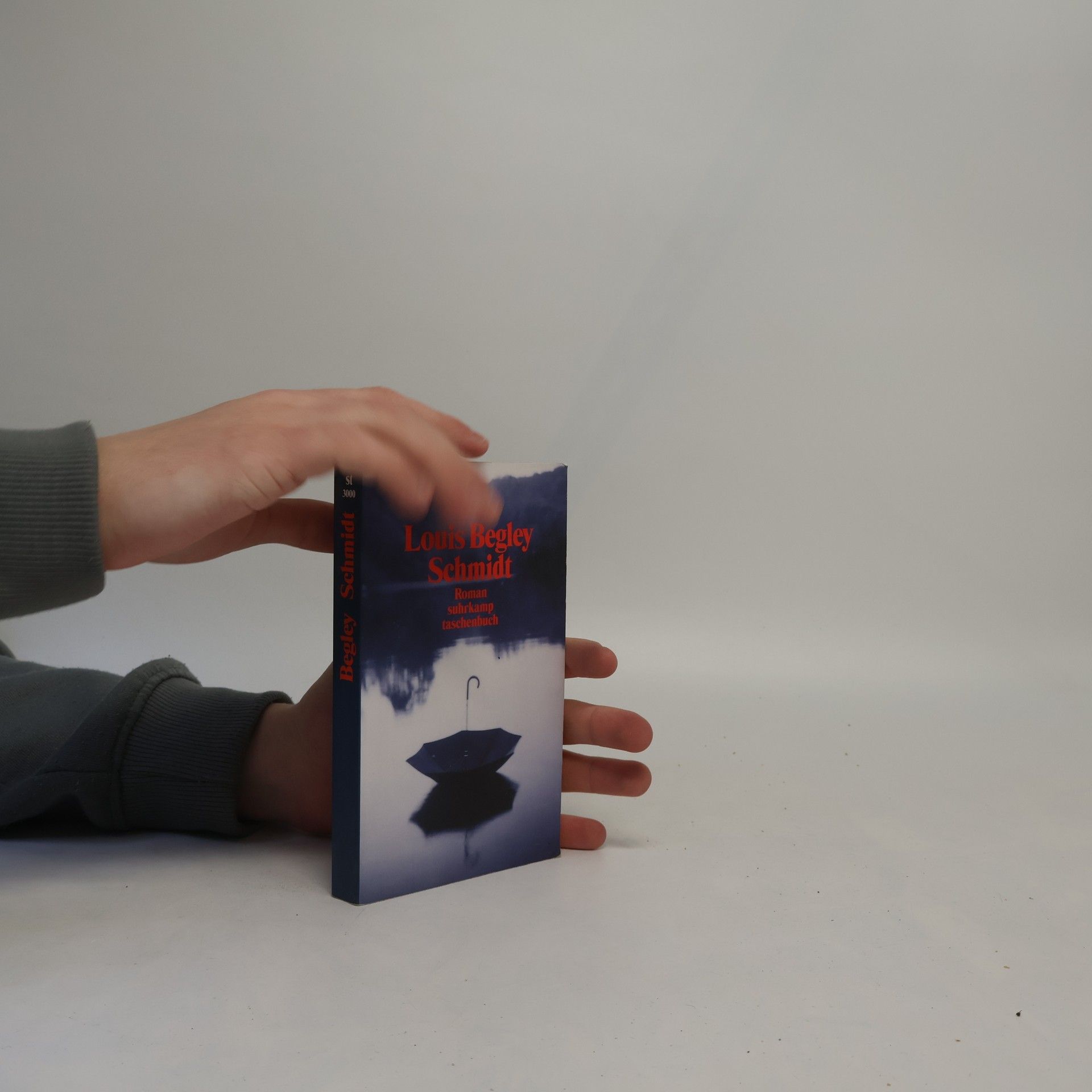 Louis Begley Schmidt