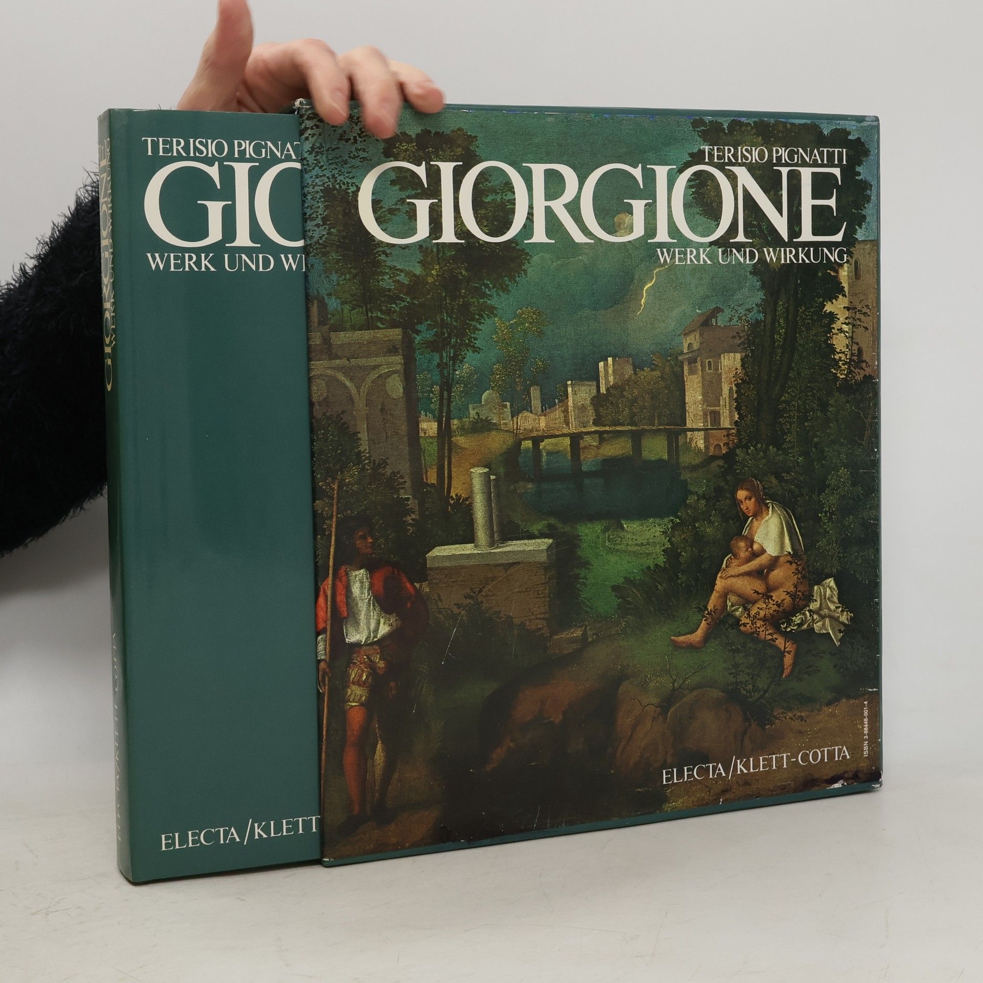 Terisio Pignatti Giorgione : Werk und Wirkung