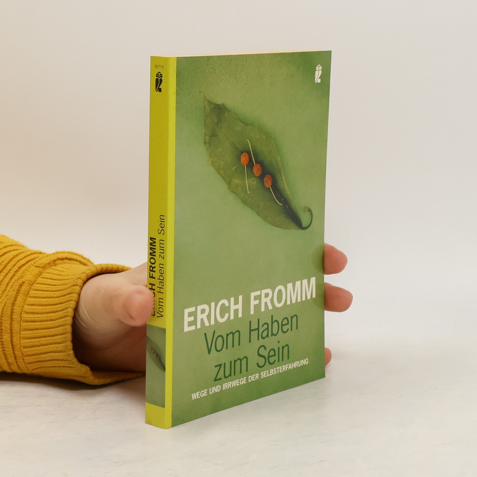 Erich Fromm Vom Haben zum Sein