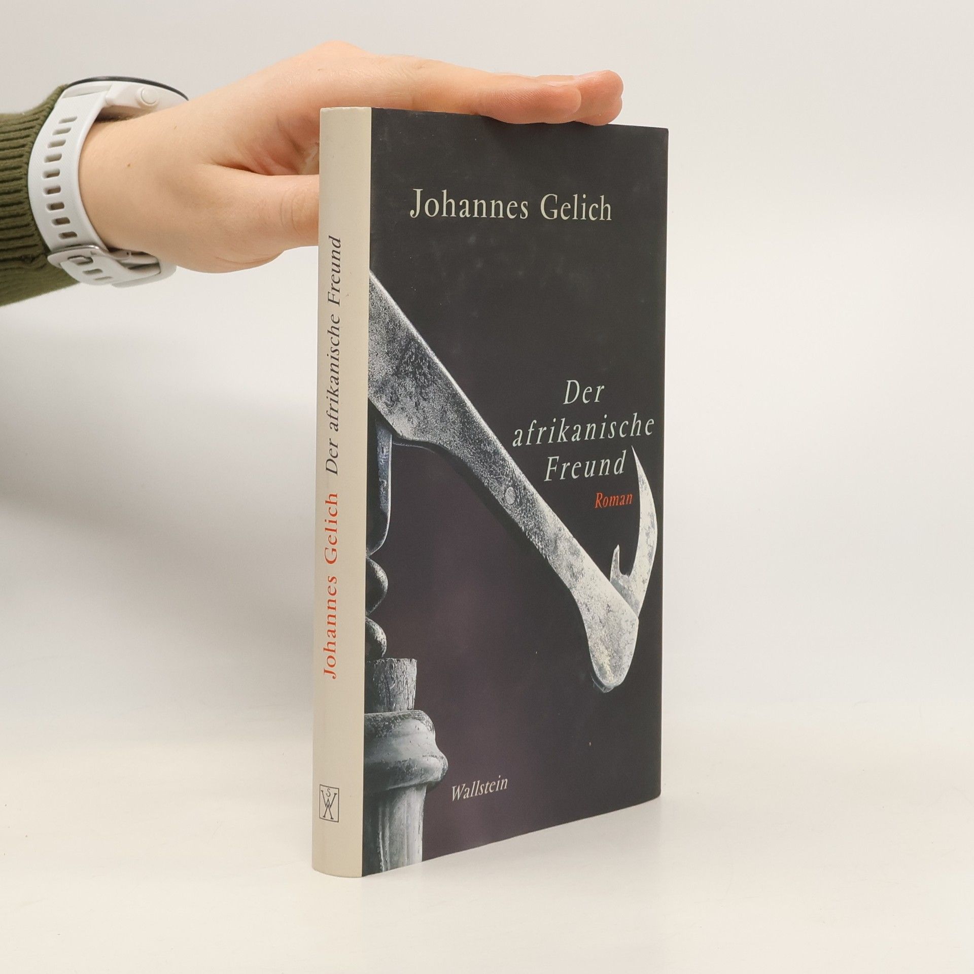 Johannes Gelich Der afrikanische Freund