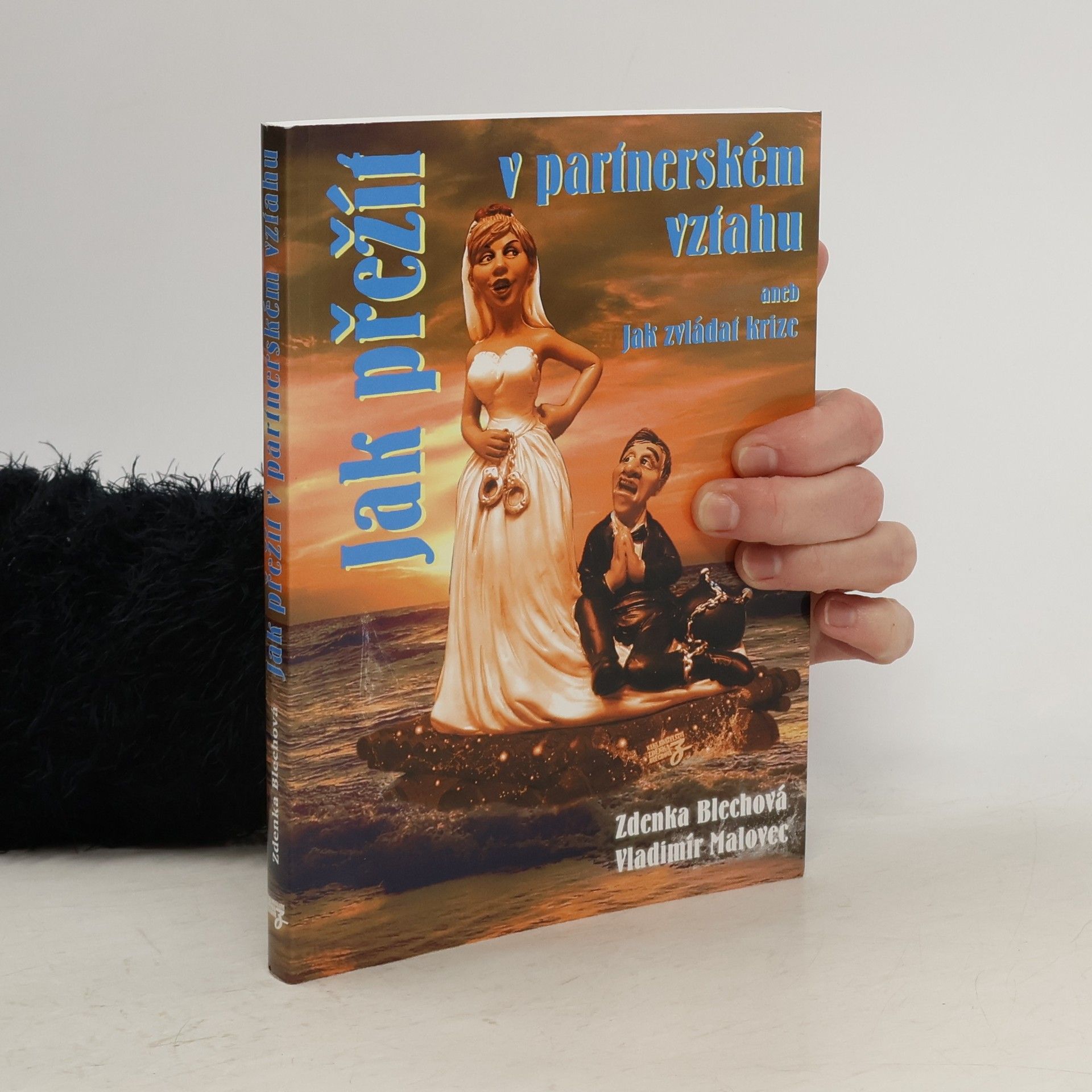 Zdenka Blechová Jak přežít v partnerském vztahu, aneb, Jak zvládat krize