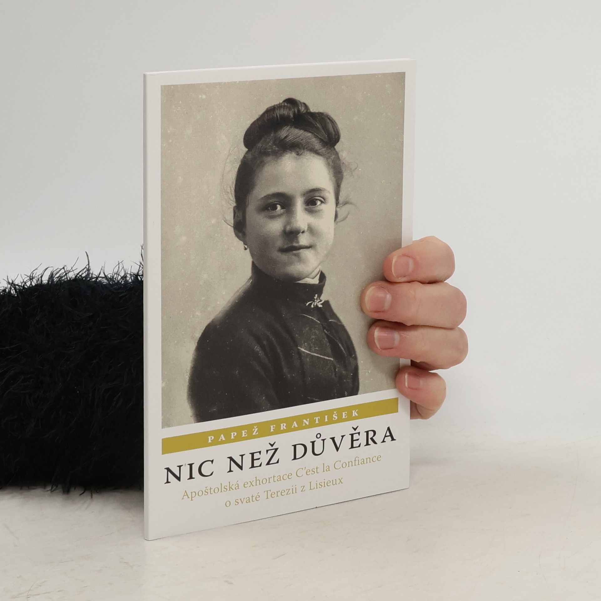 Papst Franziskus Nic než důvěra