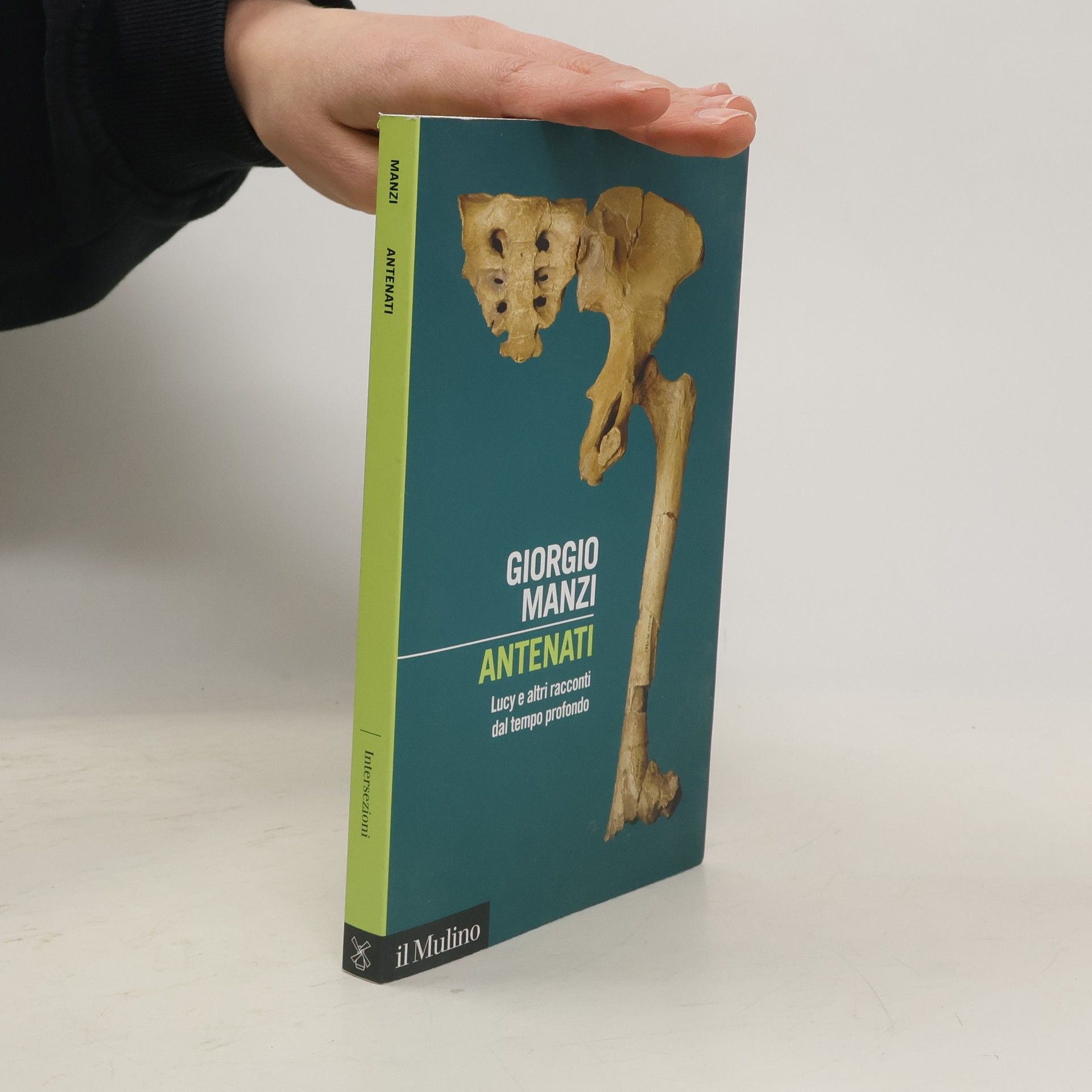 Giorgio Manzini Intersezioni: Antenati. Lucy e altri racconti dal tempo profondo